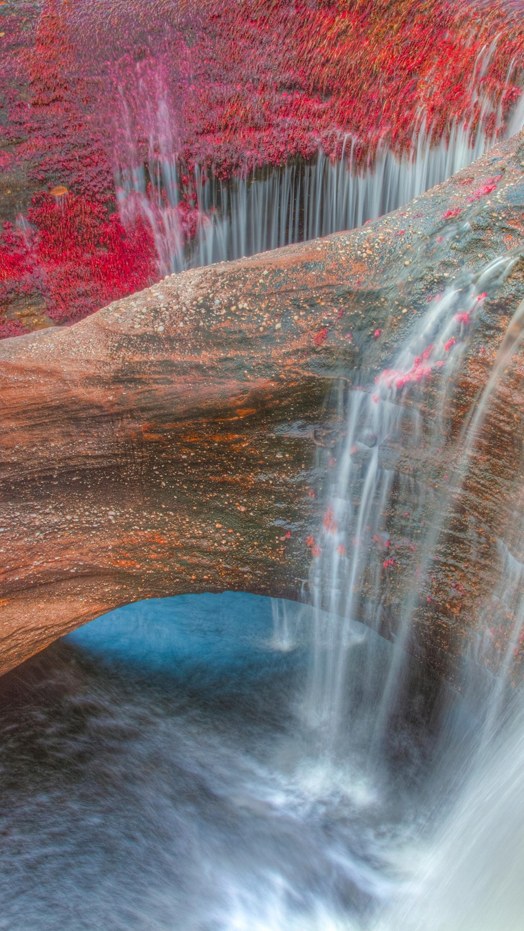 Serrania de la Macarena, Underwater plants, Cao Cristales, 1080x1920 Full HD Phone