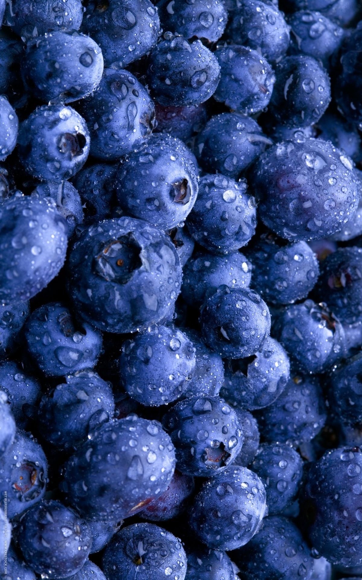 Food, Blueberries wallpaper, Crazy phone wallpaper, 1200x1920 HD Phone