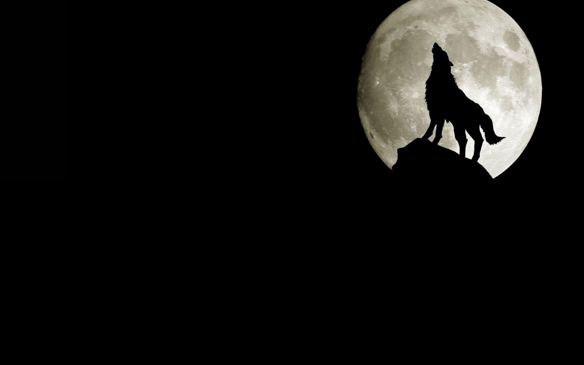 Wolf Moon Minimalist Wallpapers 1920x1200