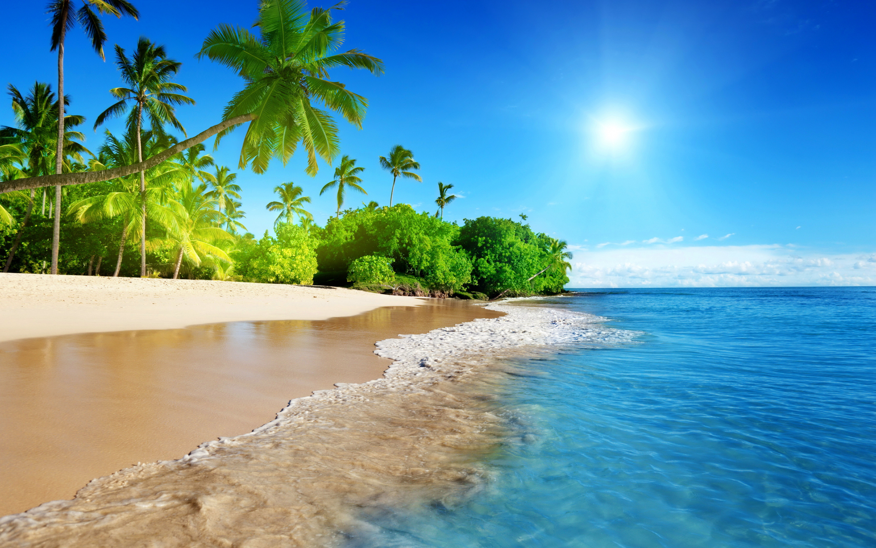 Coconut palm trees, Sandy tropical beach, Clear turquoise ocean, HD Desktop wallpaper