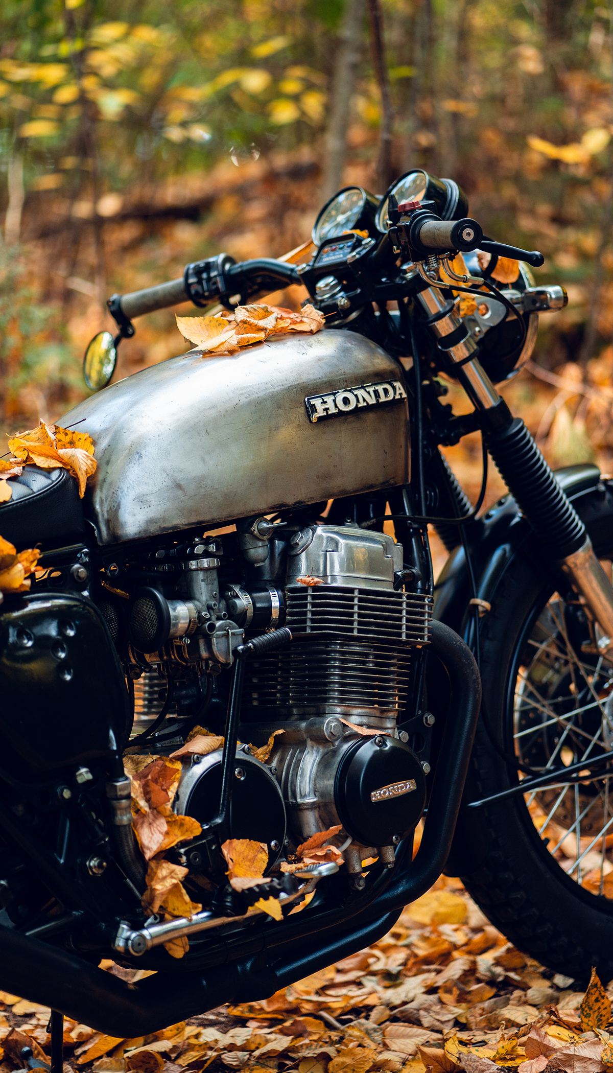 Honda CB750, Customized masterpiece, Autumn foliage, Cafe racer style, 1200x2100 HD Phone