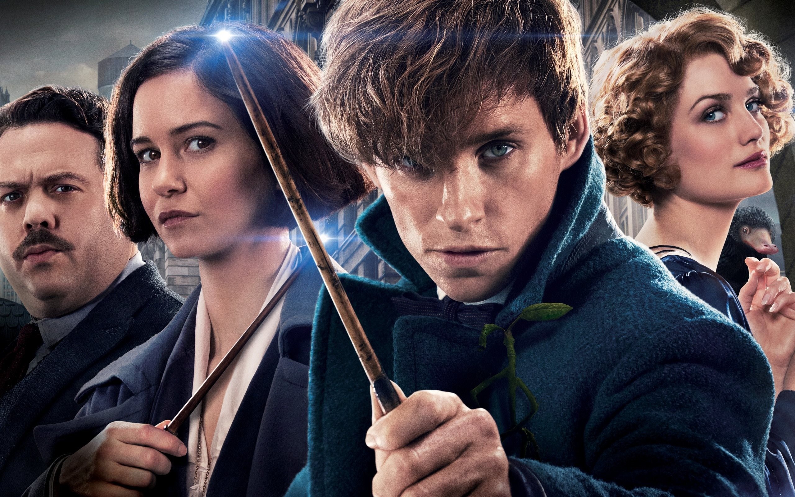 Fantastic Beasts, Eddie Redmayne, Katherine Waterston, Alison Sudol, 2560x1600 HD Desktop