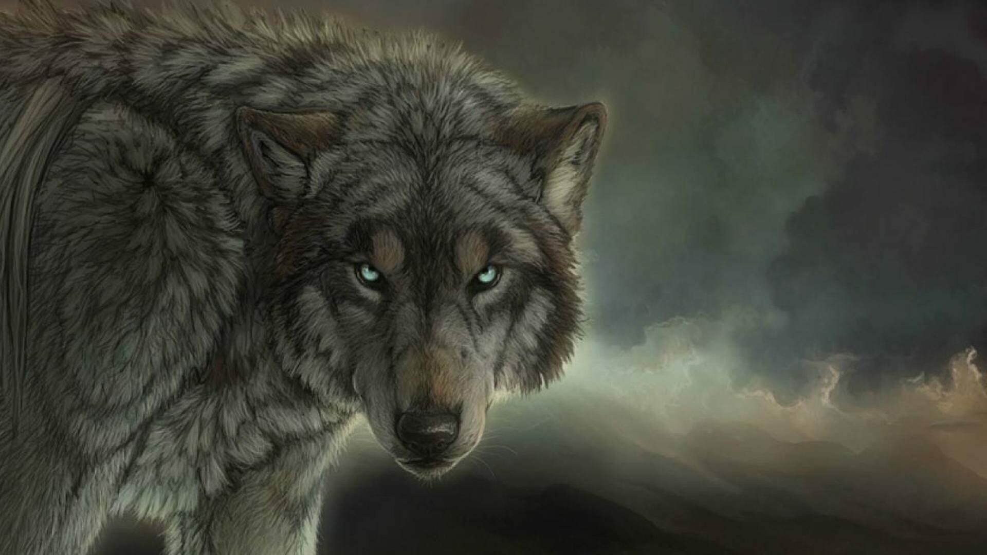 Wolf wallpaper, Intriguing creature, Striking visuals, Enigmatic beauty, 1920x1080 Full HD Desktop