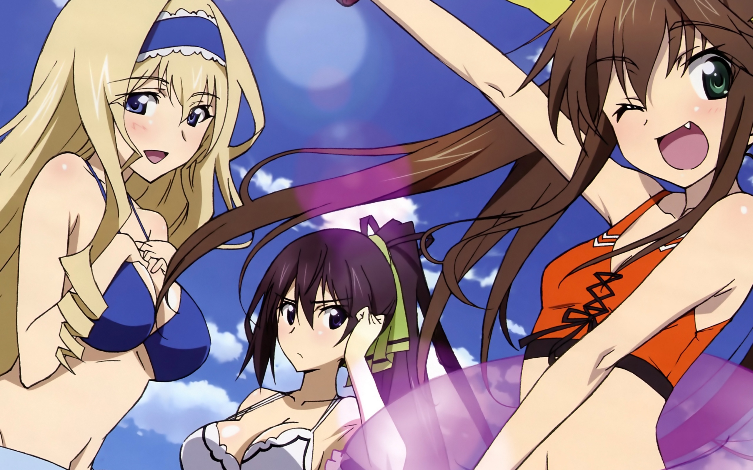 Free download, Infinite Stratos wallpaper, Wallpoper, 2560x1600 HD Desktop