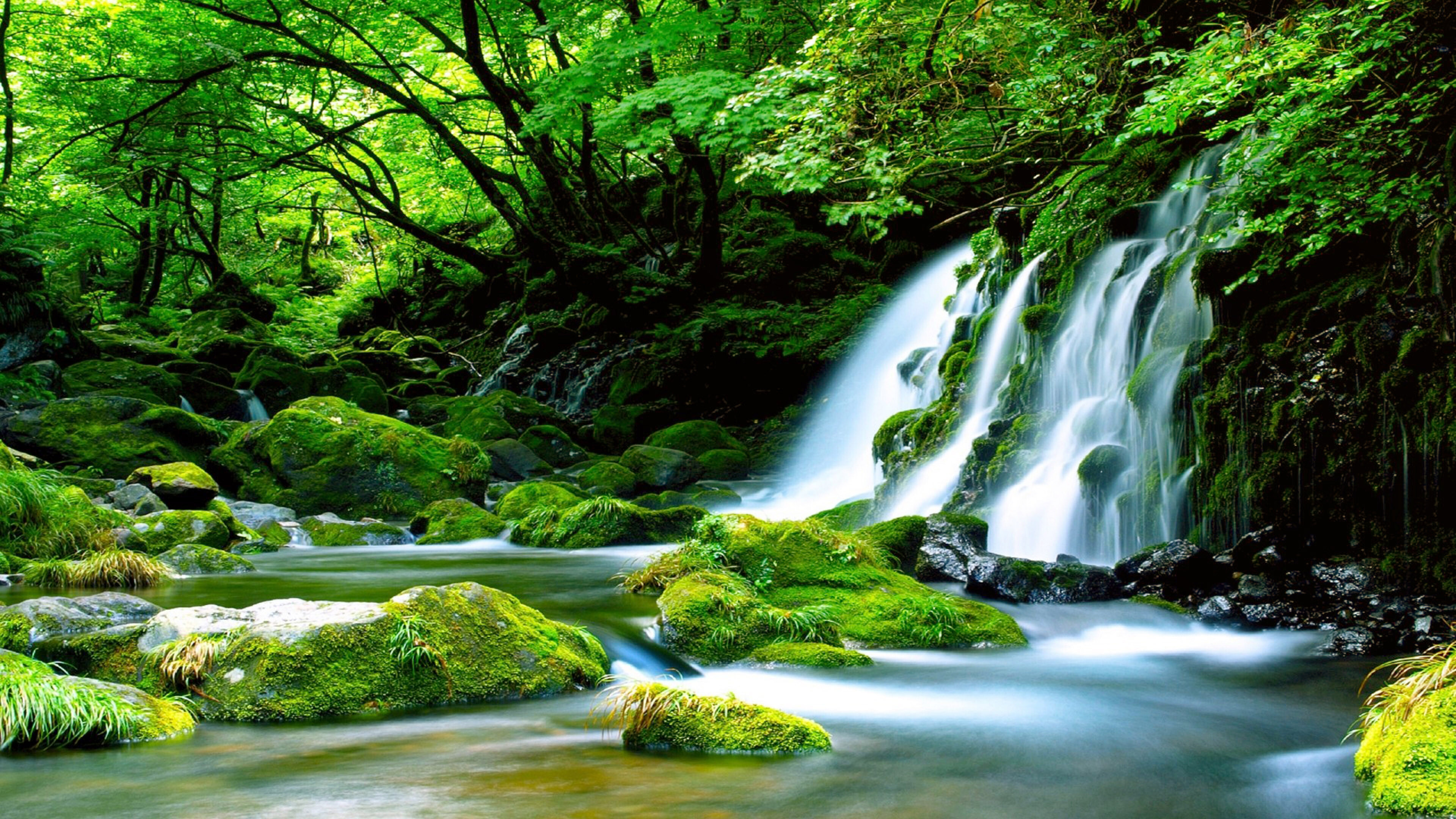 Waterfall beauty, Green oasis, Moss-covered rocks, Majestic wallpaper, 3840x2160 4K Desktop