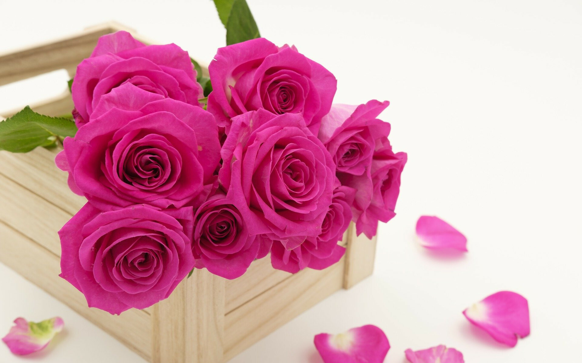 Bouquet of pink roses, Wallpaper, Breathtaking beauty, Vibrant colors, 1920x1200 HD Desktop
