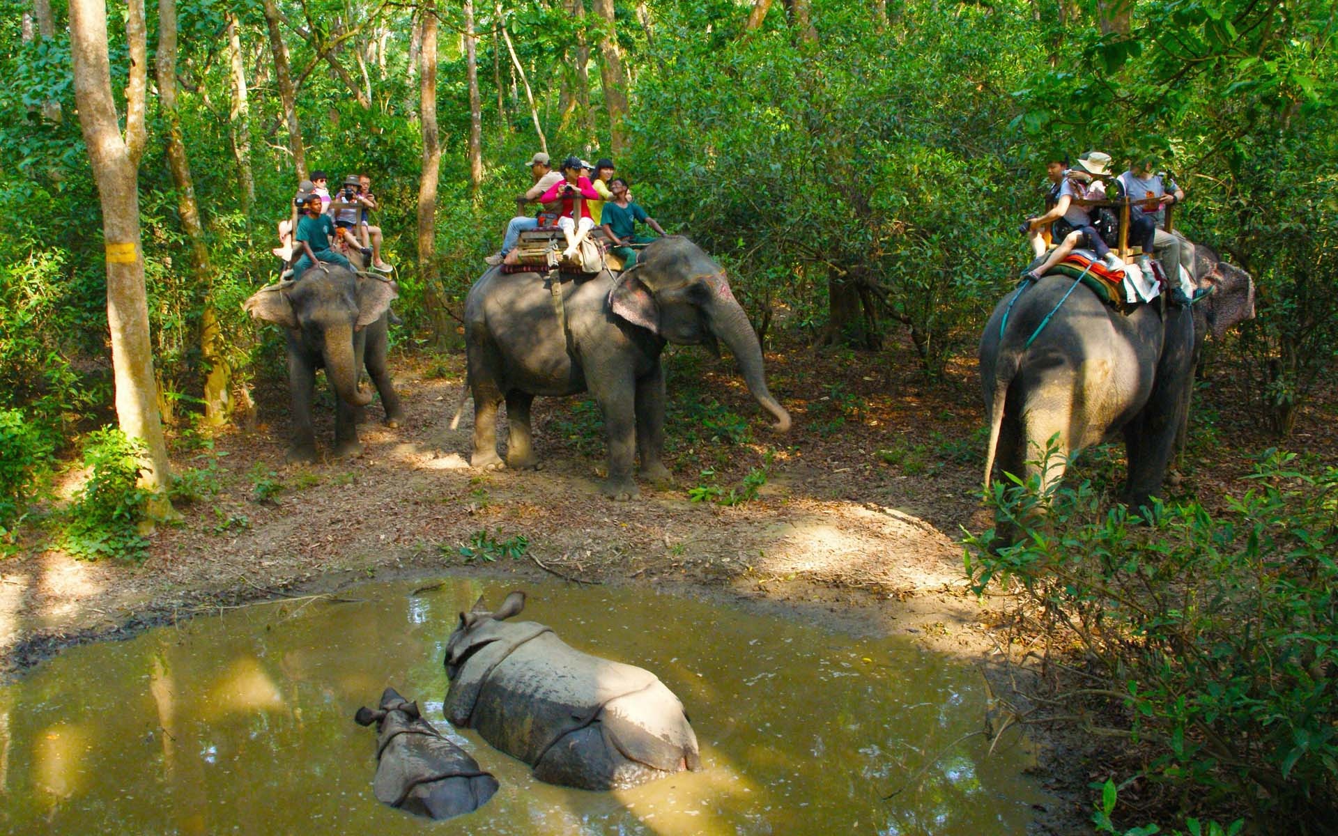 Chitwan National Park, Wildlife sanctuary, Nepal tourism, Natural wonders, 1920x1200 HD Desktop