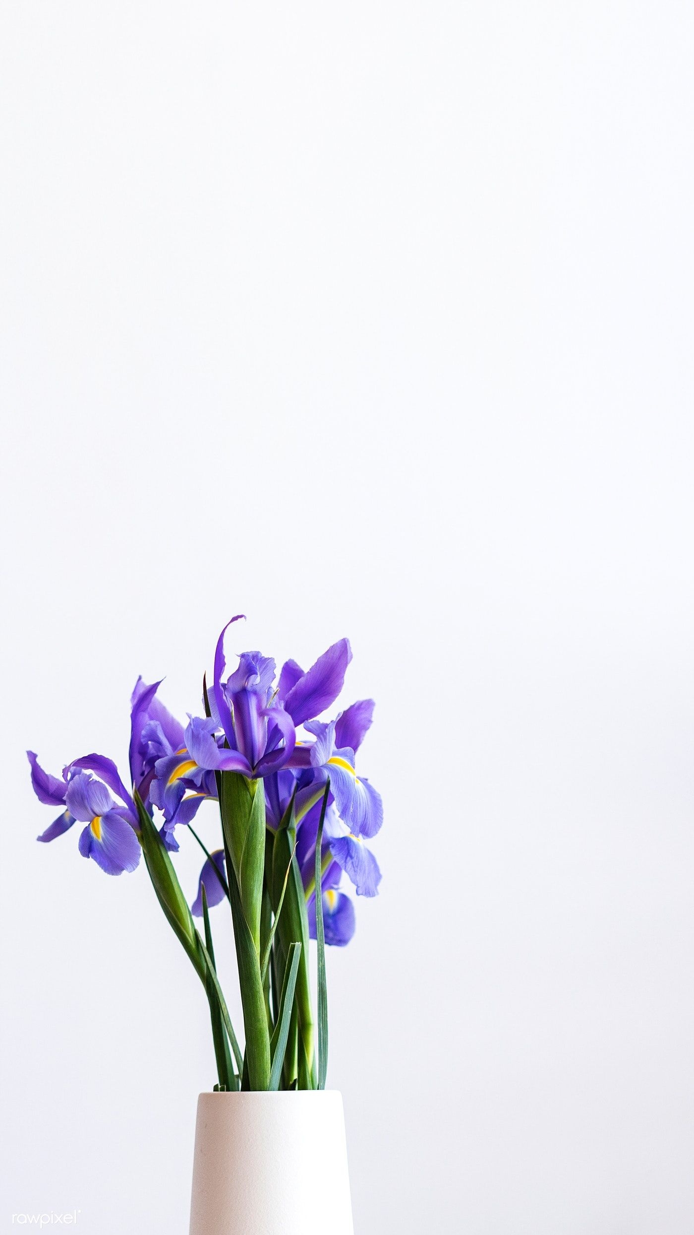 Bouquet, Iris Wallpaper, 1400x2490 HD Phone