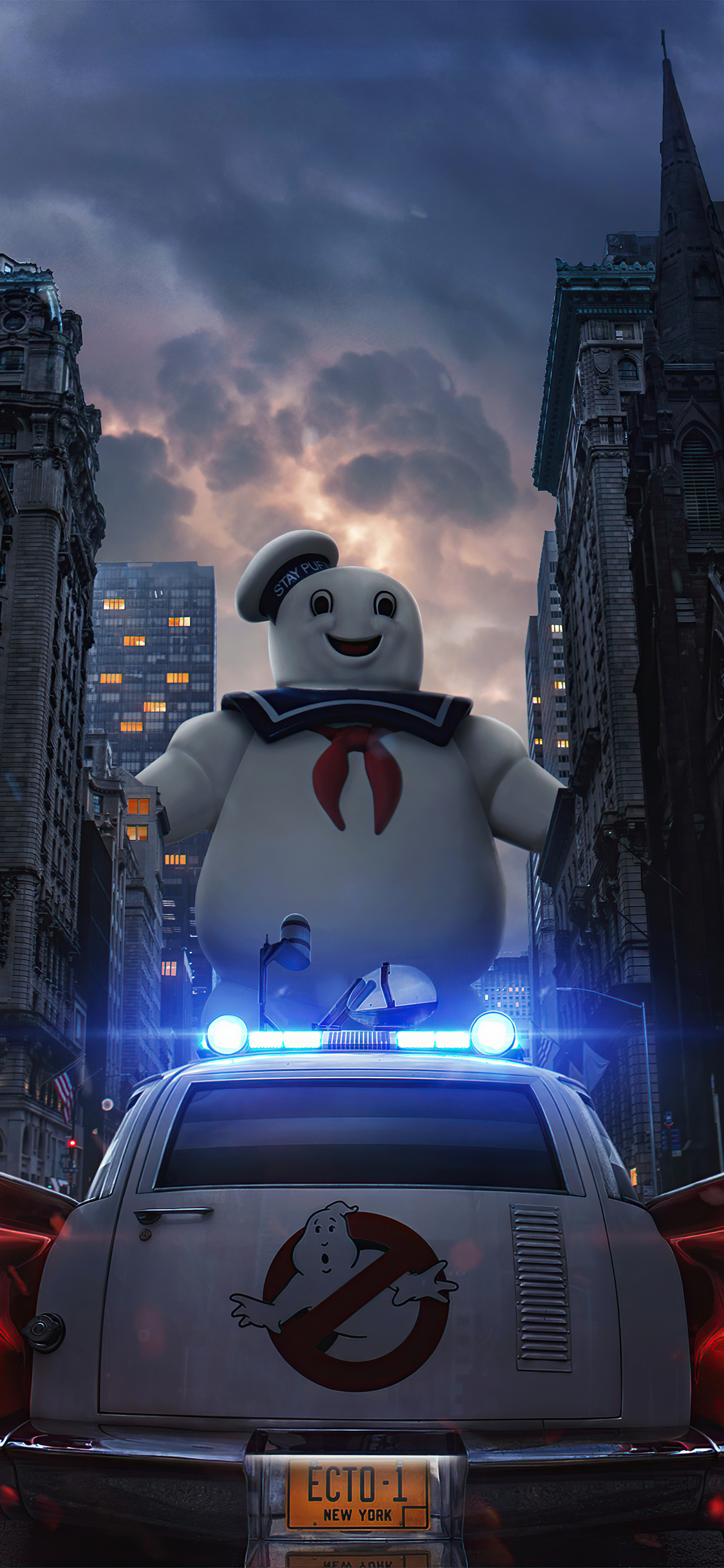Fanmade poster, iPhone XS, HD 4K wallpapers, Images, 1130x2440 HD Phone