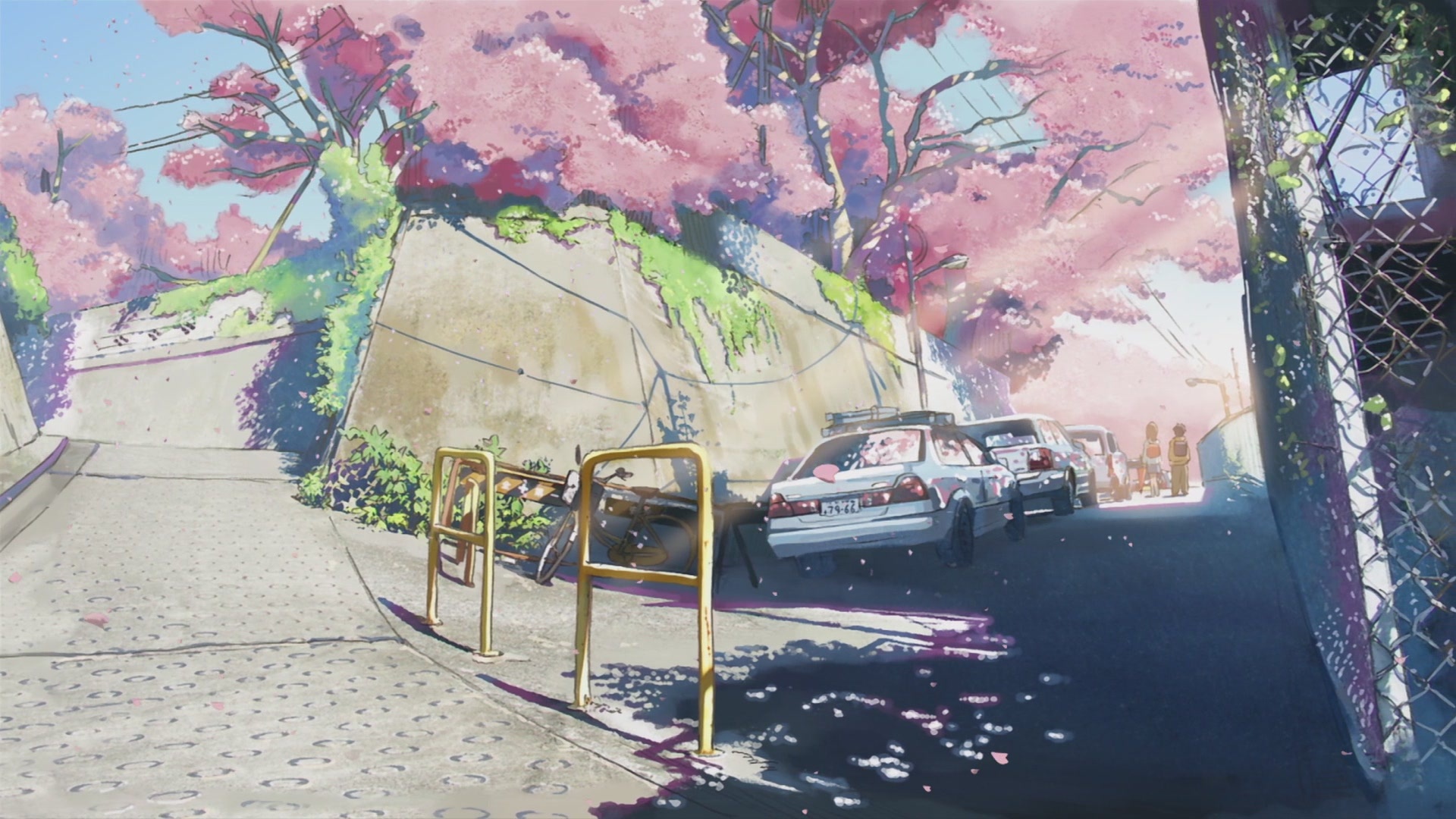 Takaki Tono and Akari Shinohara, 5 Centimeters per Second, Blooming cherry blossom canopy, Full HD Desktop wallpaper