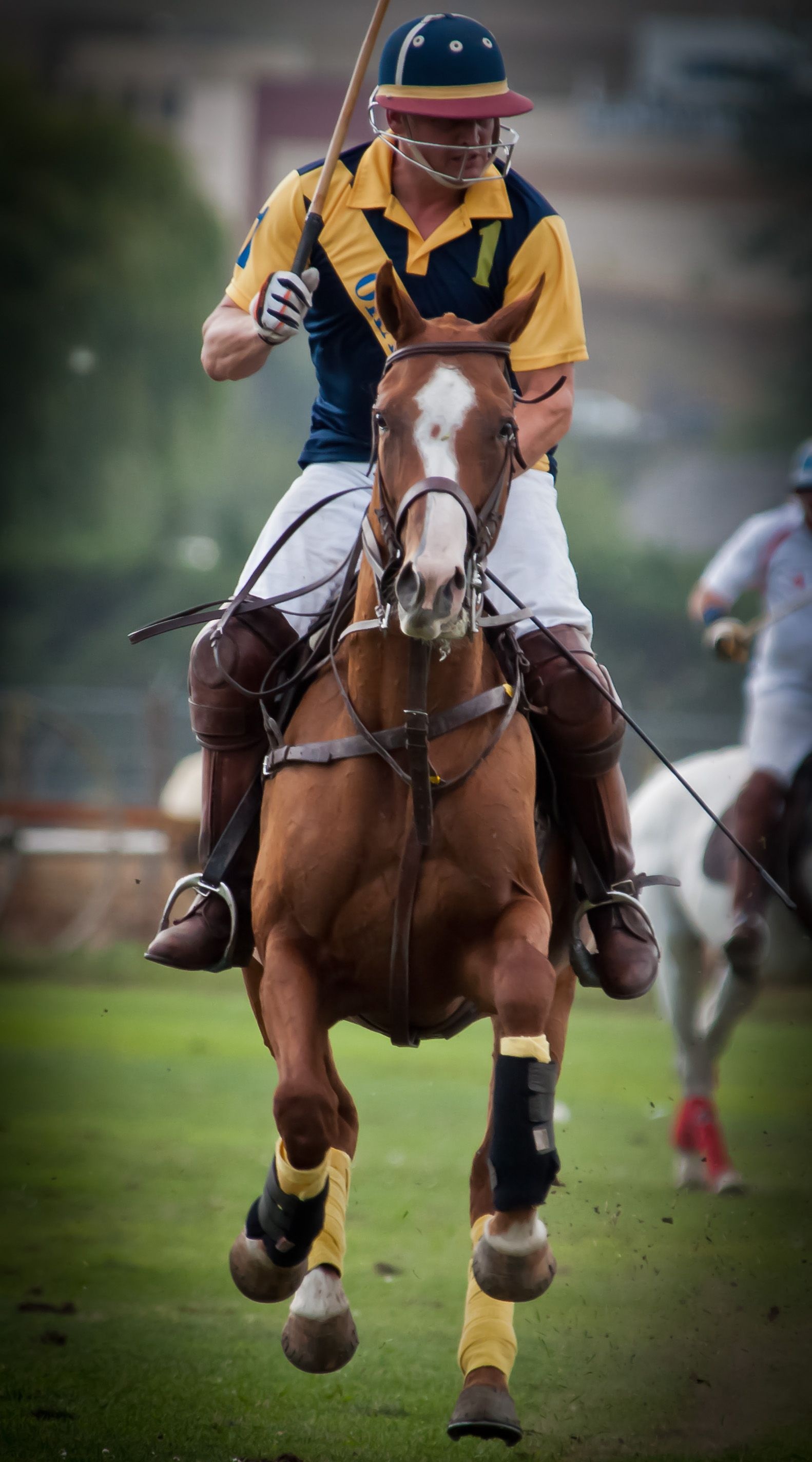 Okanagan Polo Club, Horse Polo Wallpaper, 1590x2850 HD Phone