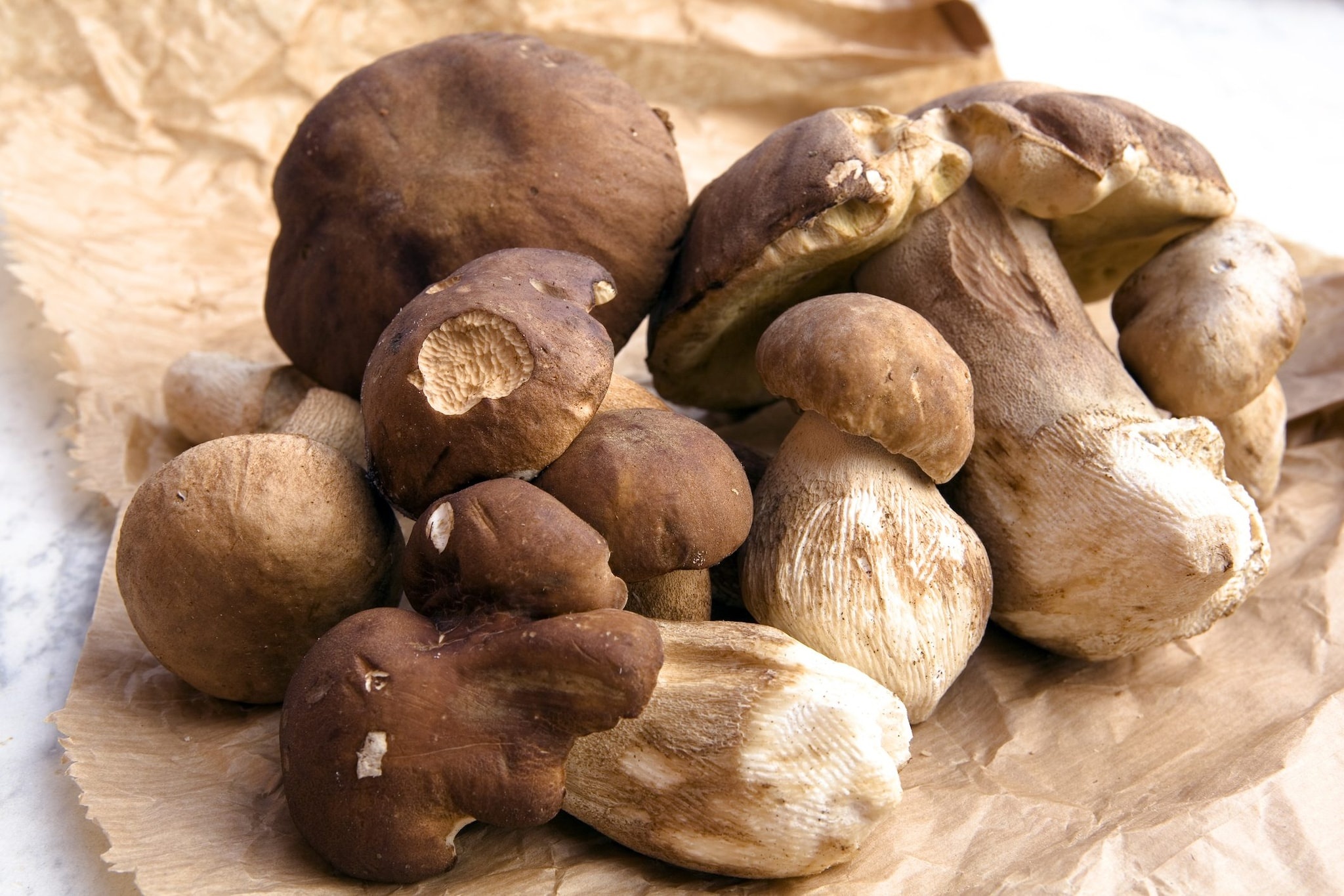 Porcini mushrooms, Cleaning tips, Culinary secrets, Mushroom preparation, 2050x1370 HD Desktop