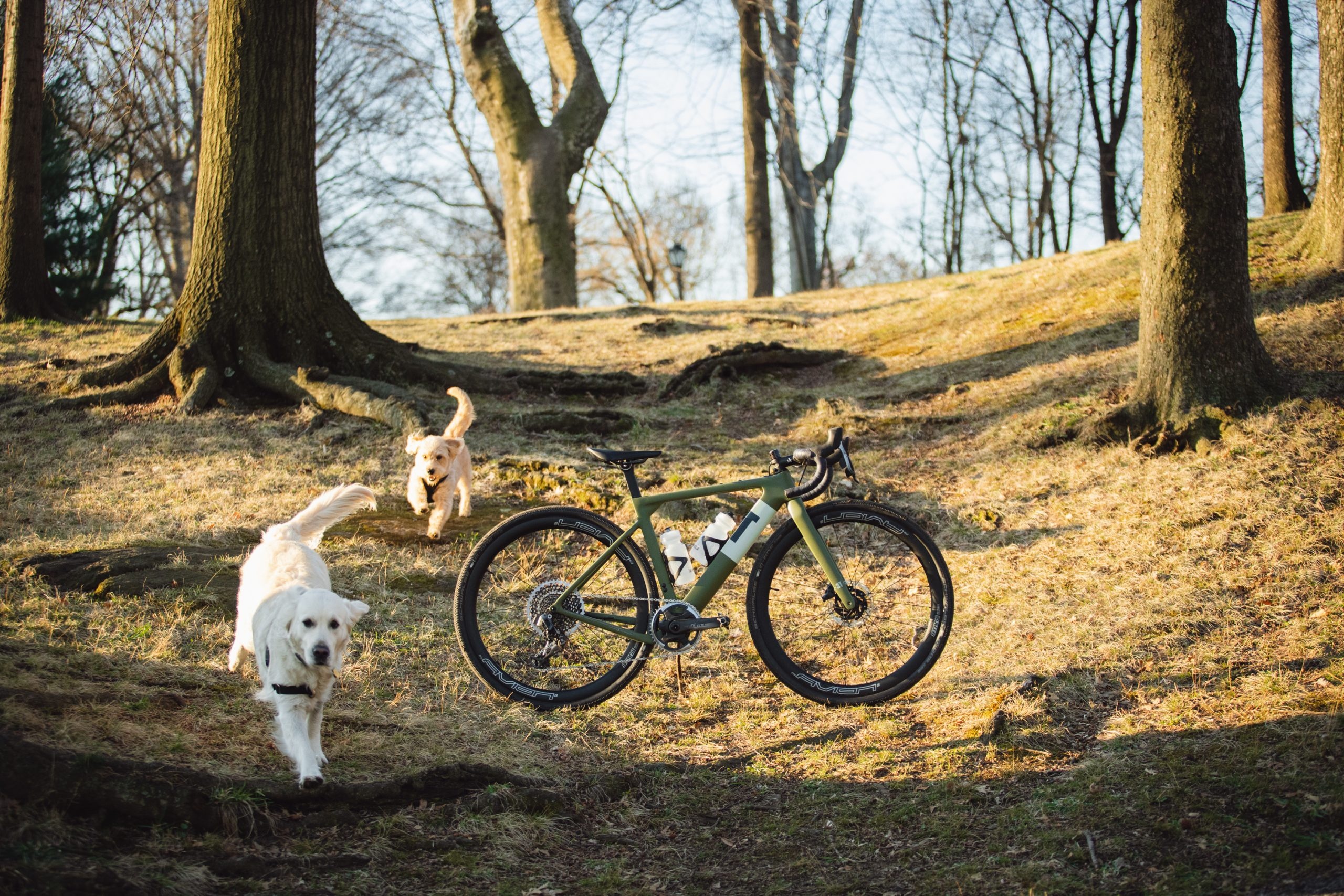 3T Bike, Velocio Exploro team, Limited edition, High performance, 2560x1710 HD Desktop