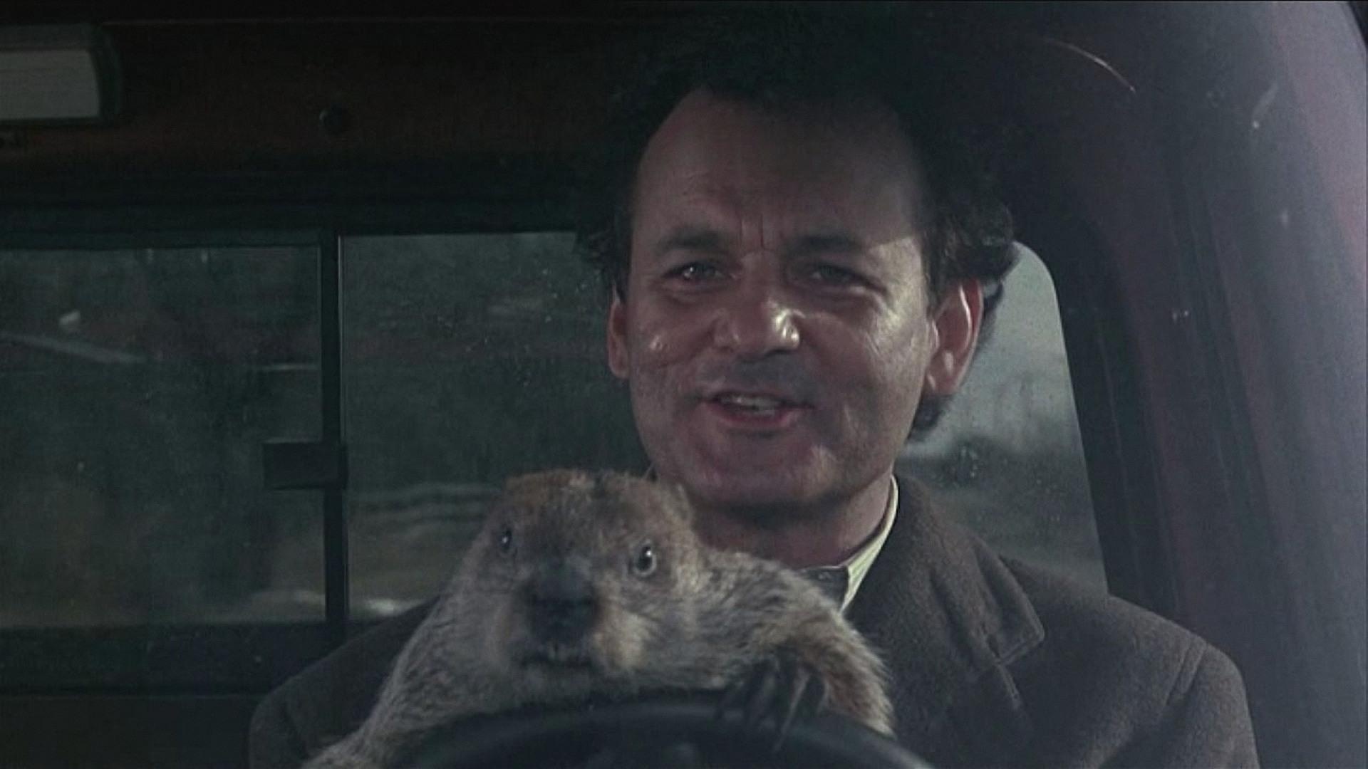 Bill Murray, Groundhog Day Wallpaper, 1920x1080 Full HD Desktop