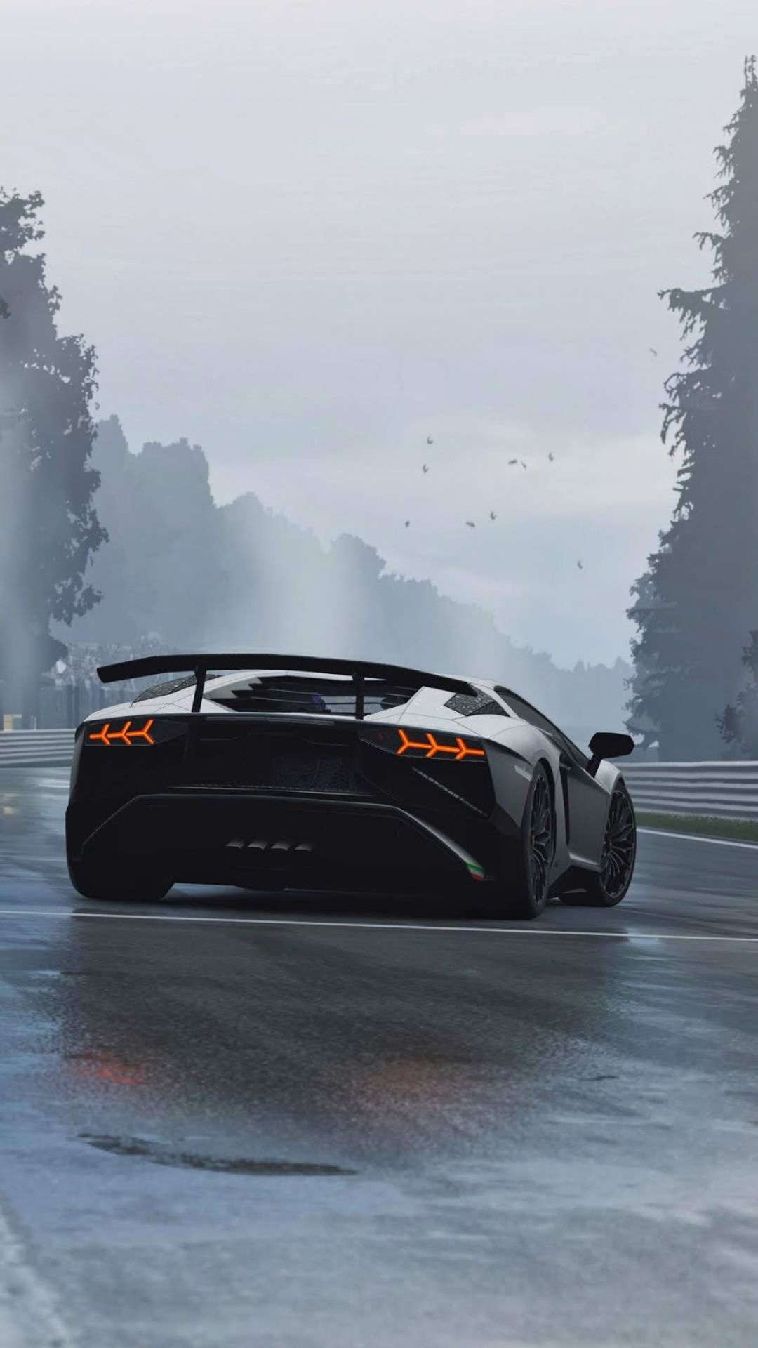 Lamborghini Aventador SV, wet racetrack, foggy forest circuit, Full HD Phone wallpaper