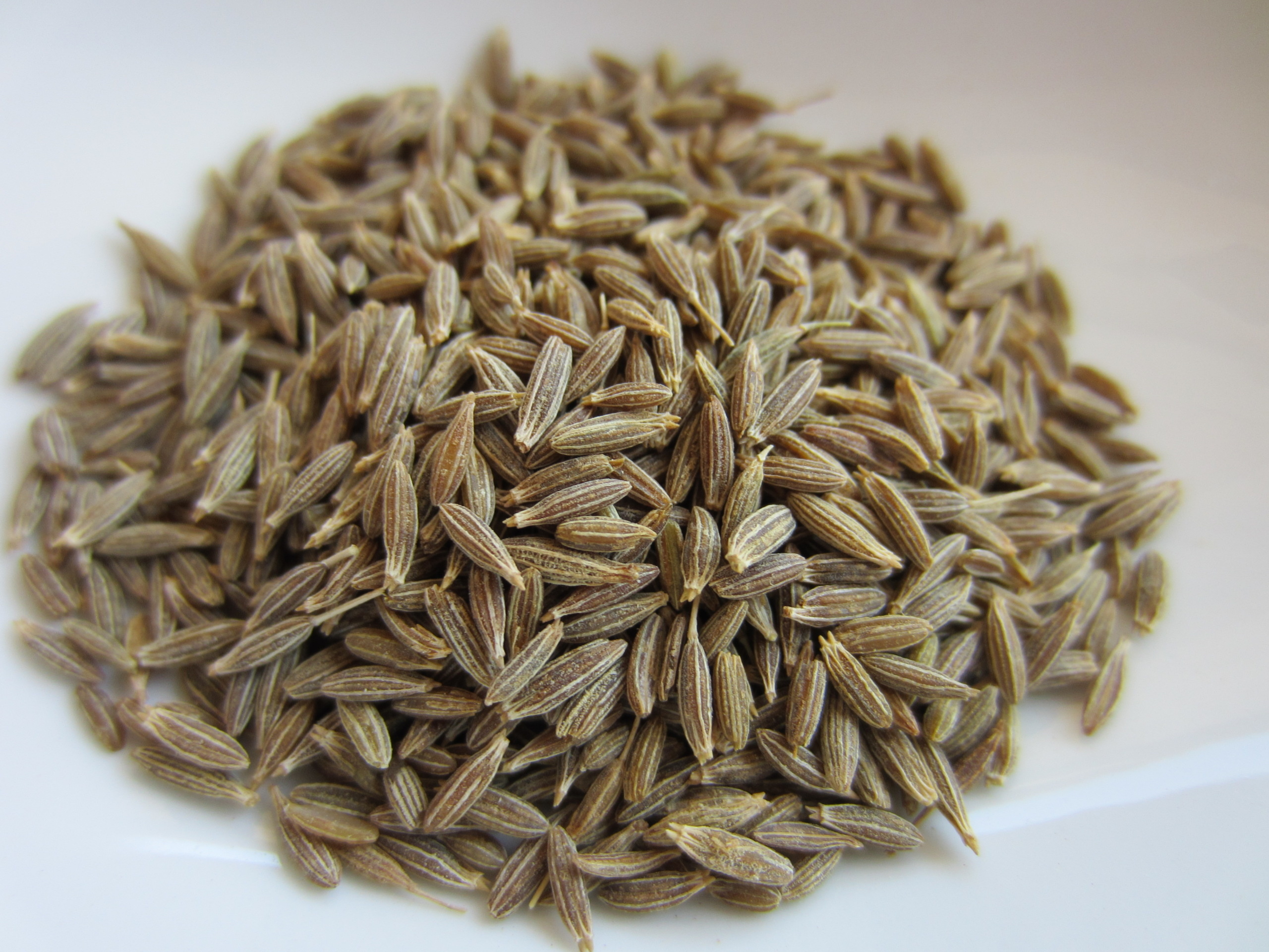 Cumin seeds, Pfeiffer Family cookbook, Indian cuisine, Flavor enhancer, 2560x1920 HD Desktop
