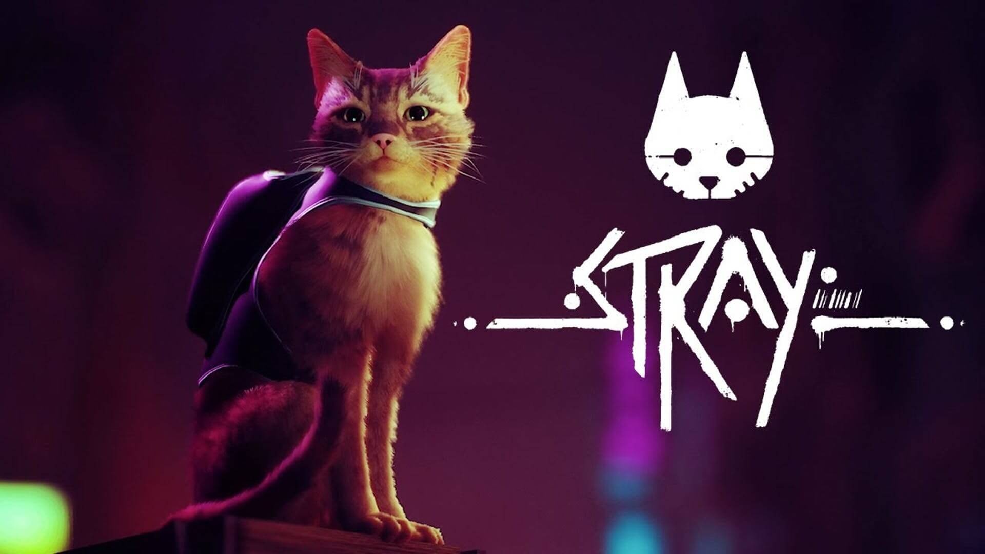 Stray game, Delayed release, New gameplay trailer, Anticipation for 2022, 1920x1080 Full HD Desktop