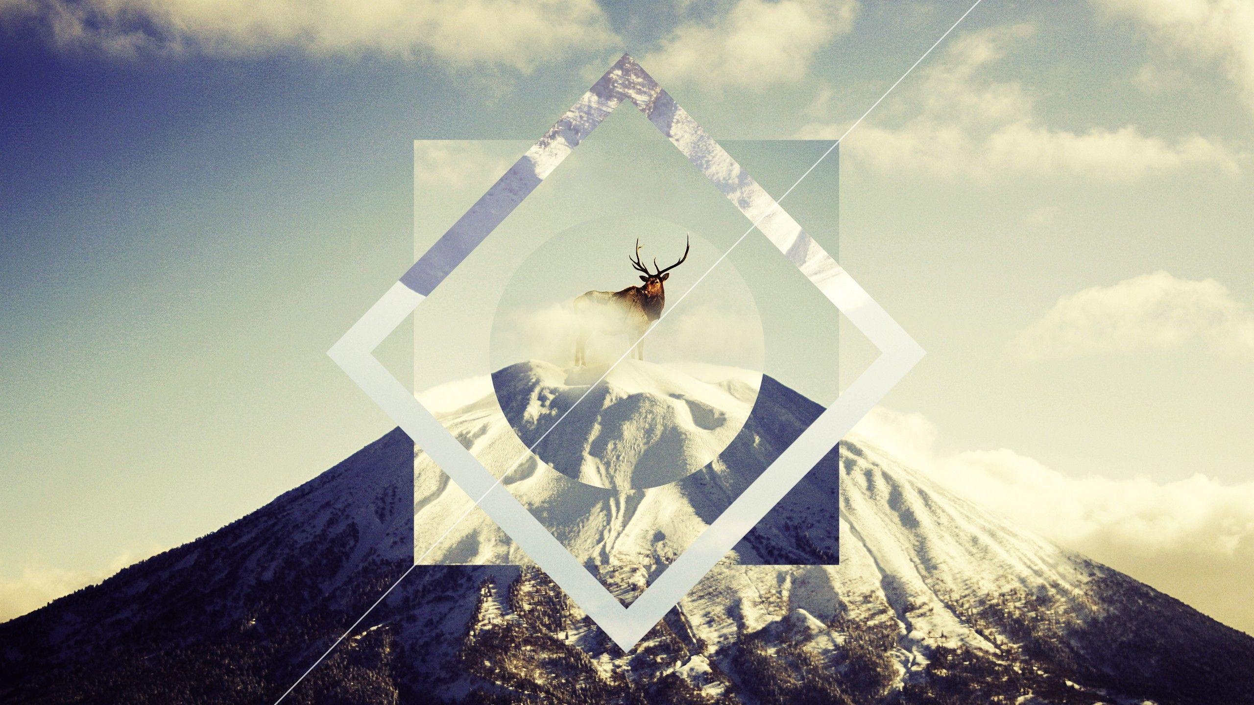 Deer, Hipster Wallpaper, 2560x1440 HD Desktop