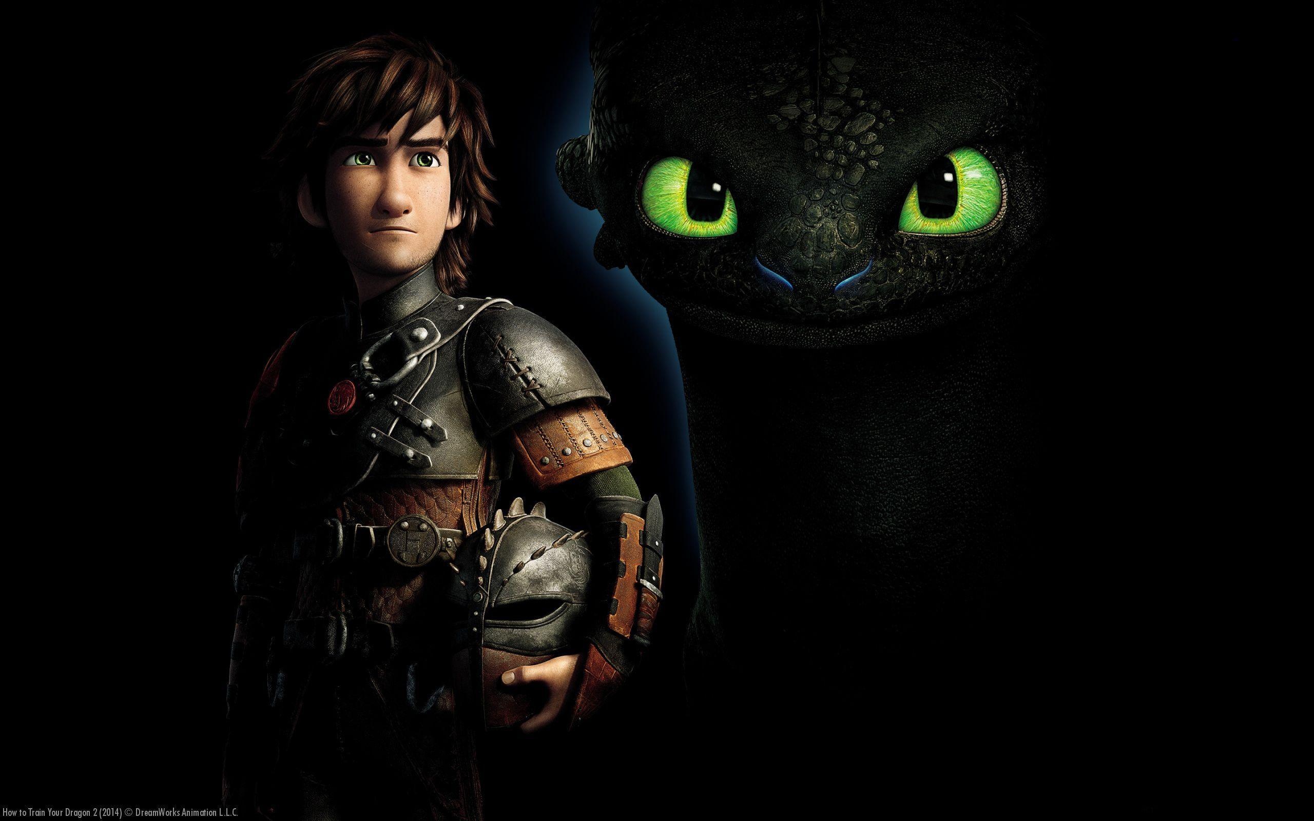 DreamWorks movies, How to Train Your Dragon, Cool wallpapers, 2560x1600 HD Desktop