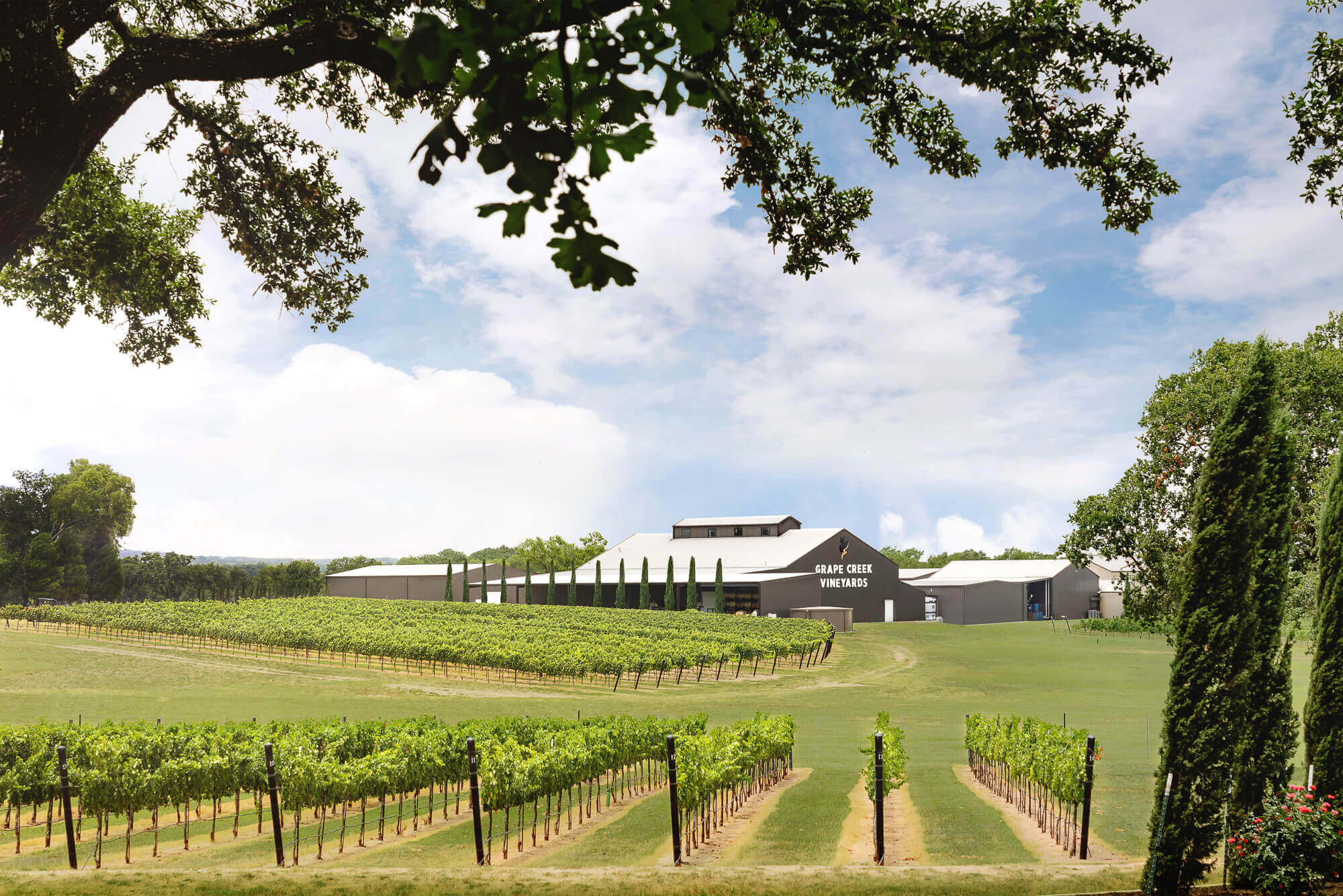 Vineyards on Hwy 290, Wine enthusiasts, Scenic beauty, Wine tasting, 2000x1340 HD Desktop