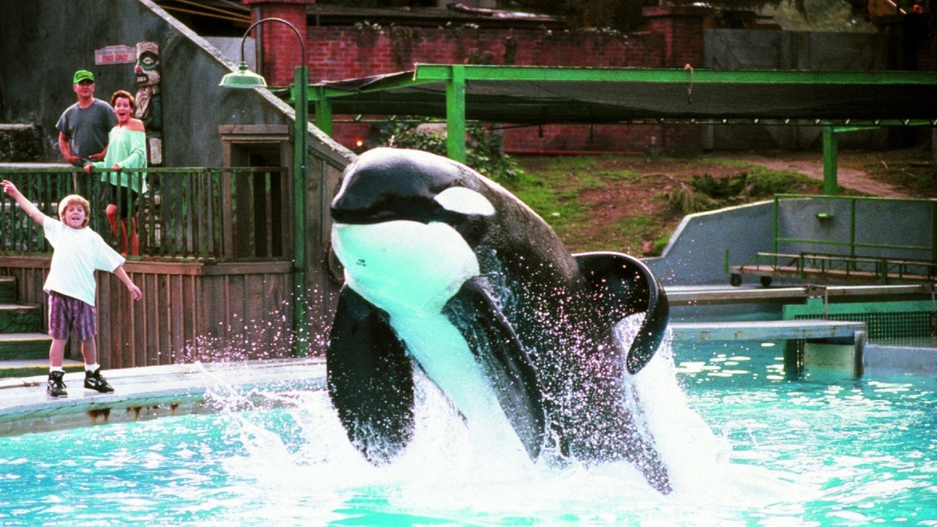 Guess-the-movie challenge, Animal movie quiz, Zoo-inspired films, Guess-the-animal games, 1920x1080 Full HD Desktop