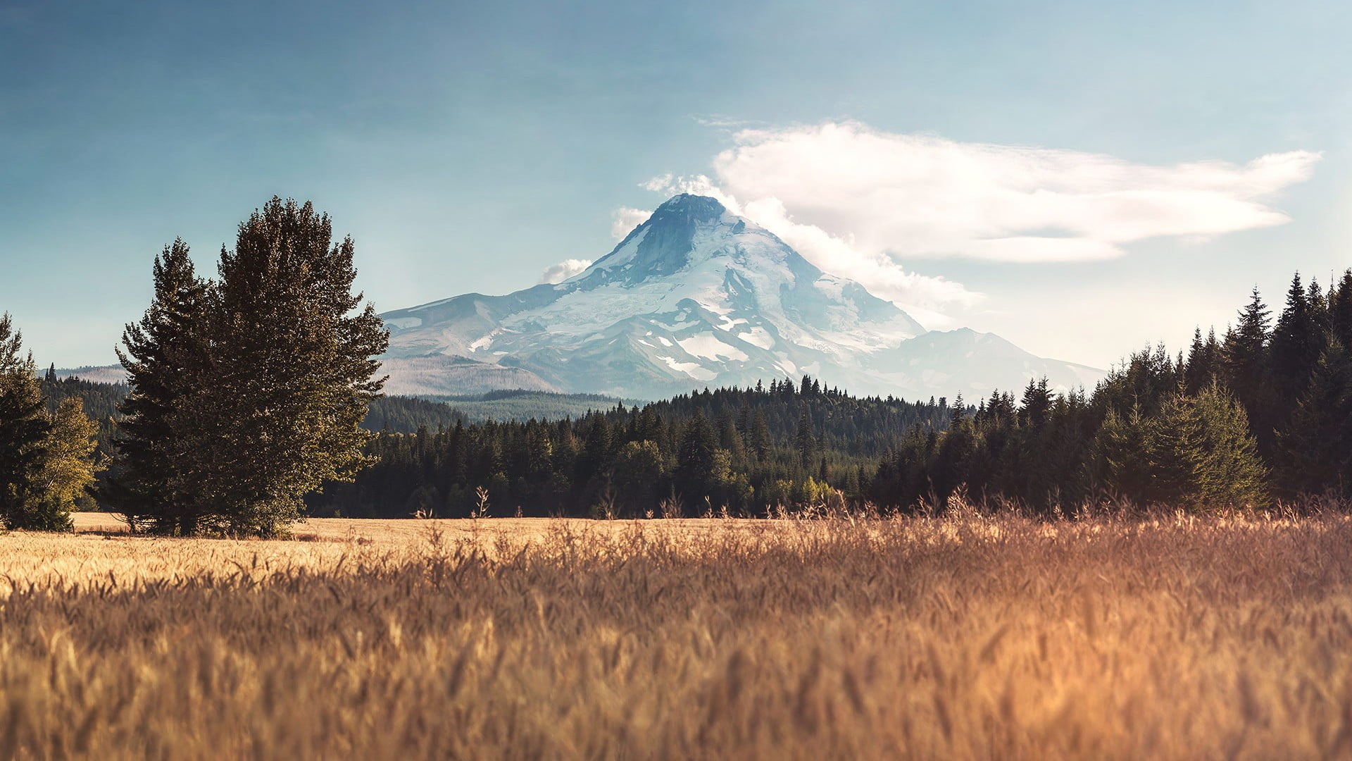 Mount Hood, Oregon, Travels, Mountains, 1920x1080 Full HD Desktop