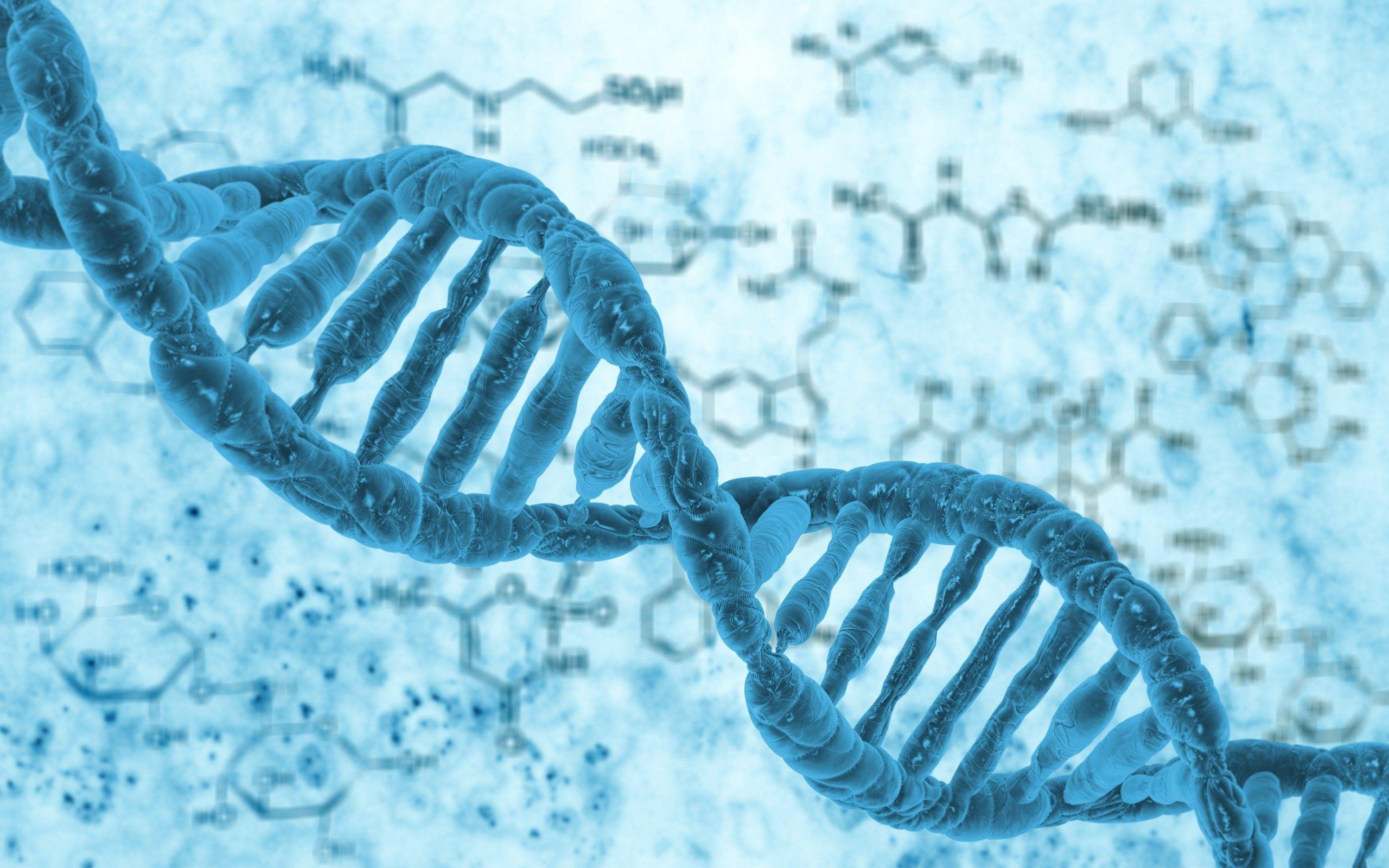 Biology wallpapers, Scientific visuals, Nature's wonders, Biological diversity, 2560x1600 HD Desktop