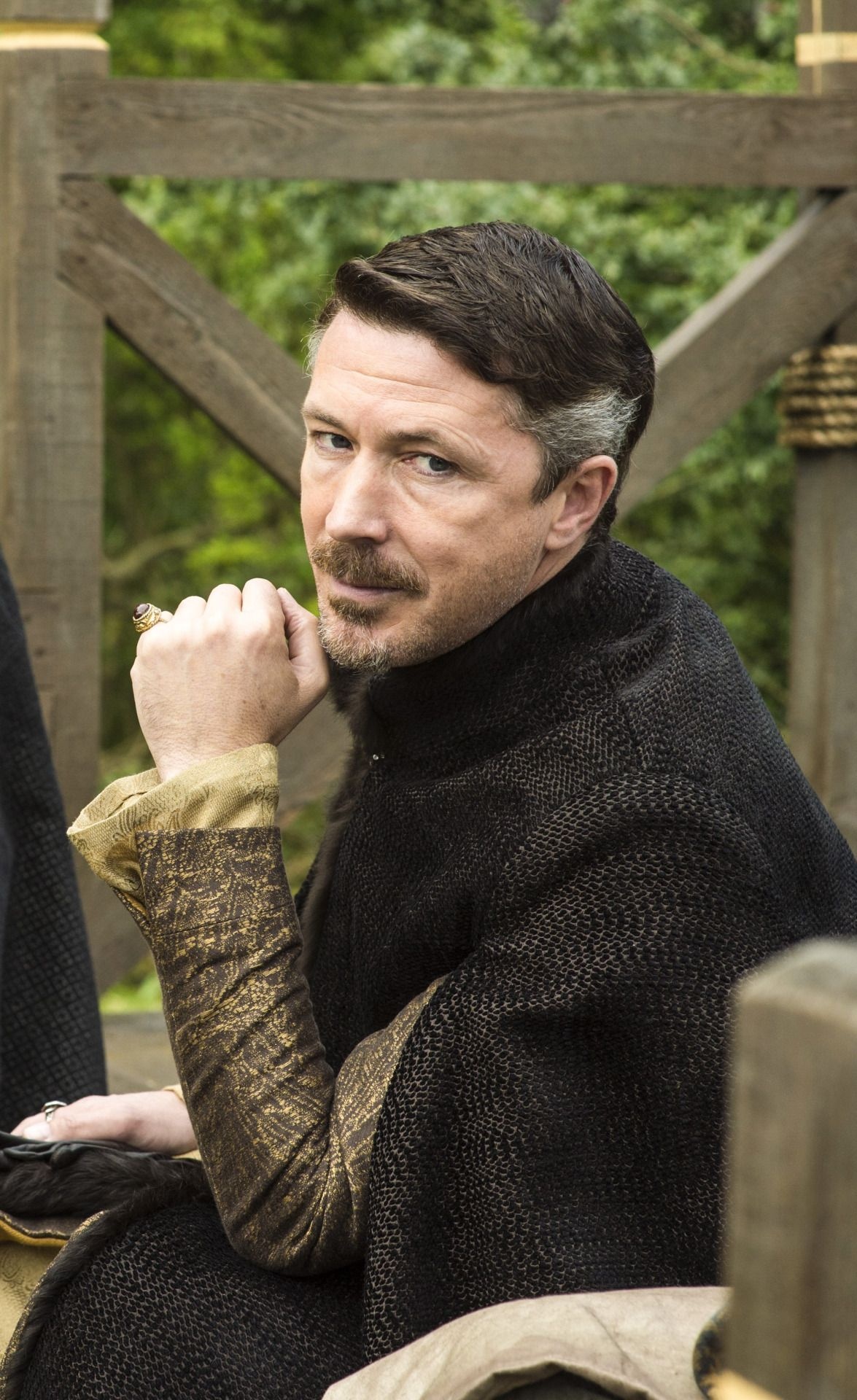 Aidan Gillen desktop backgrounds, 1180x1920 HD Phone