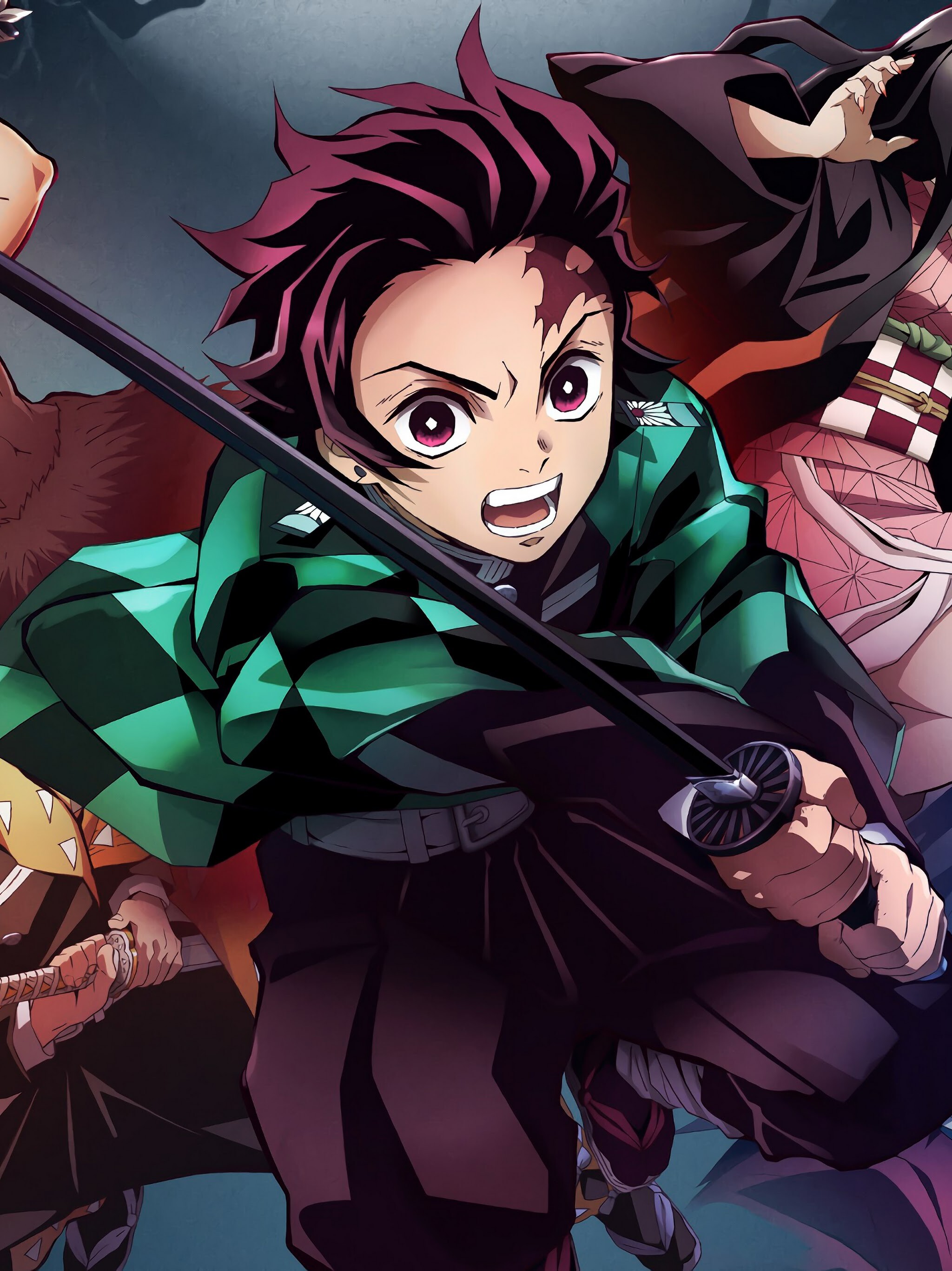 Tanjiro Kamado, Demon Slayer: Kimetsu no Yaiba Wallpaper, 2050x2740 HD Phone