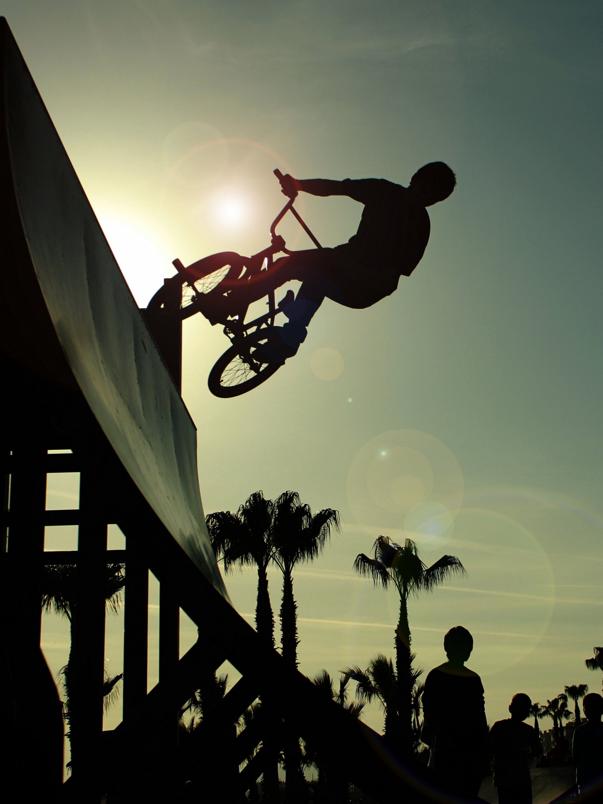 BMX racing, Bicycles Wallpaper, 2050x2740 HD Phone