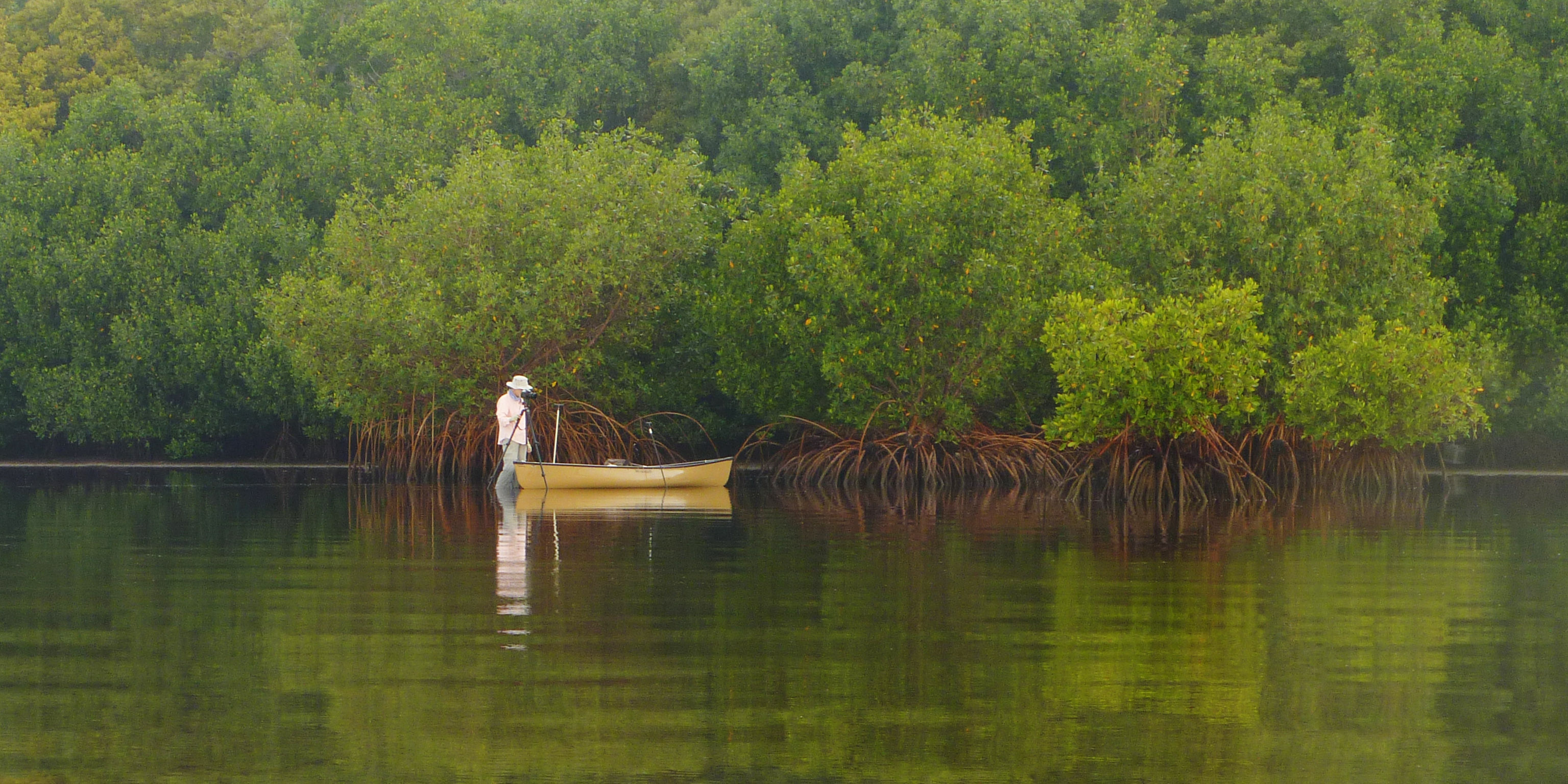Everglades National Park, Photographer Constince Mier, January visit, National Park Service, 3080x1540 Dual Screen Desktop