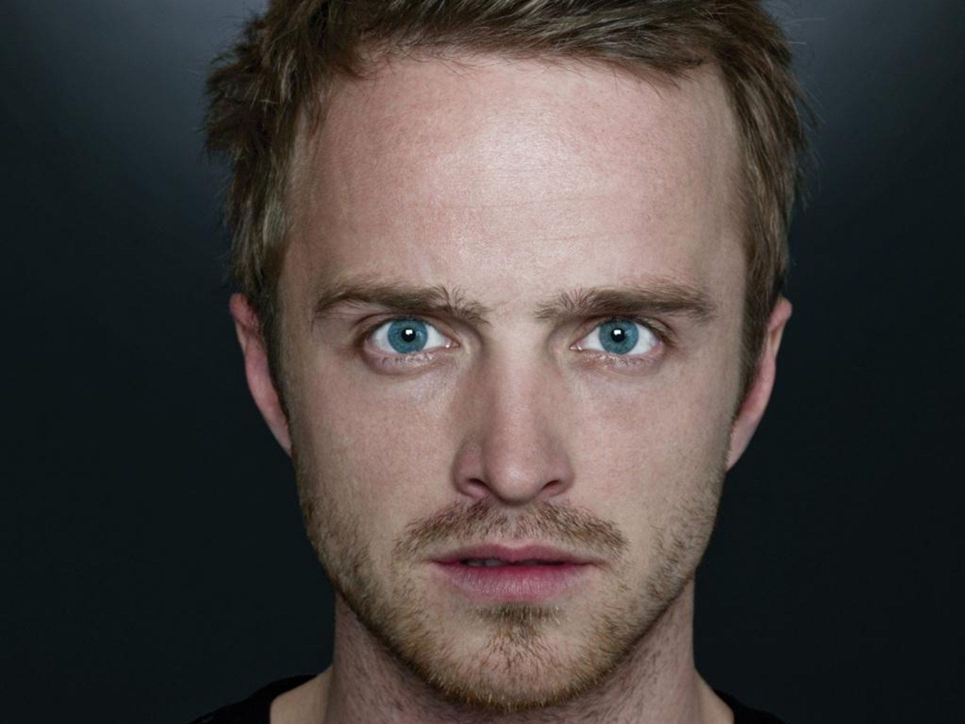 Aaron Paul, Movies, Celebrities, HD Wallpapers, 1920x1440 HD Desktop