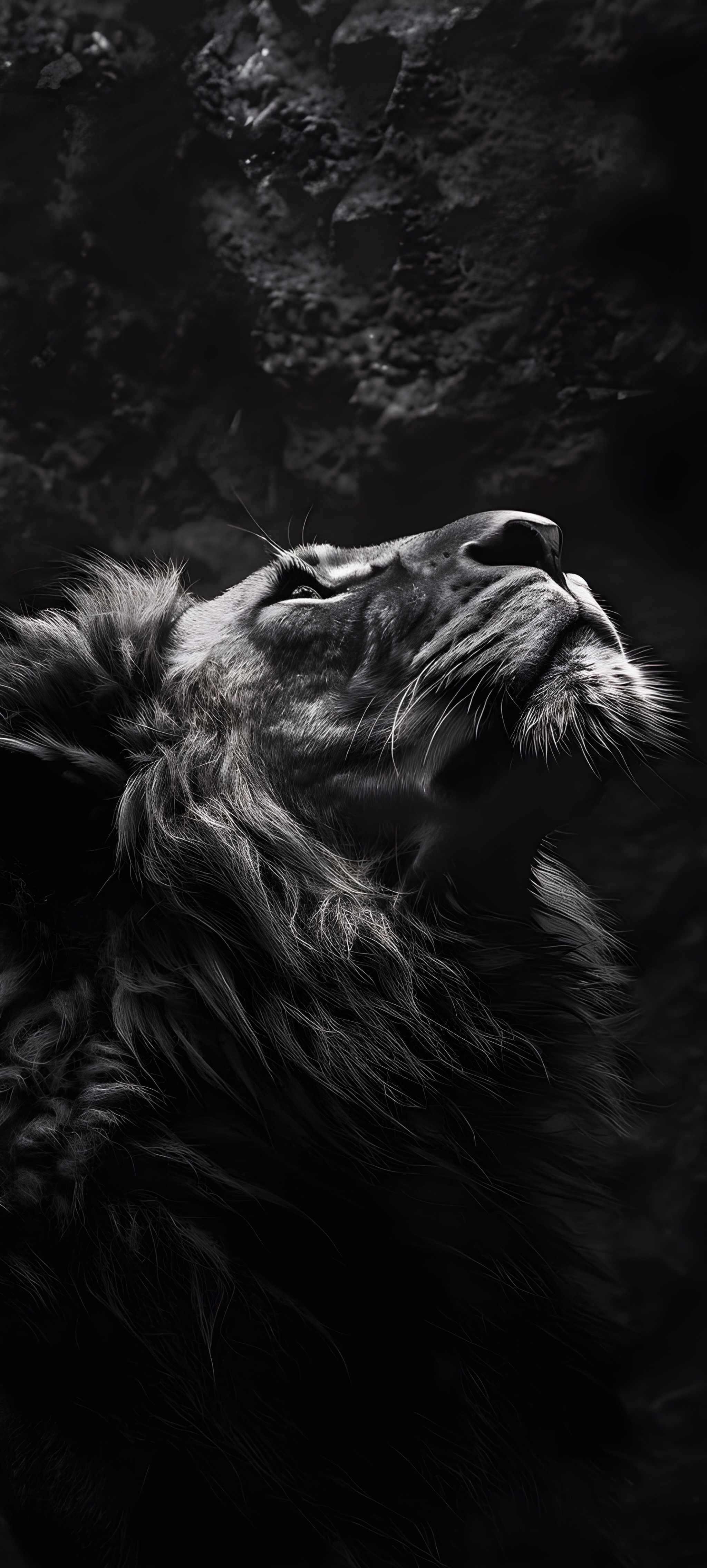 2050x4550 Phone Wallpaper