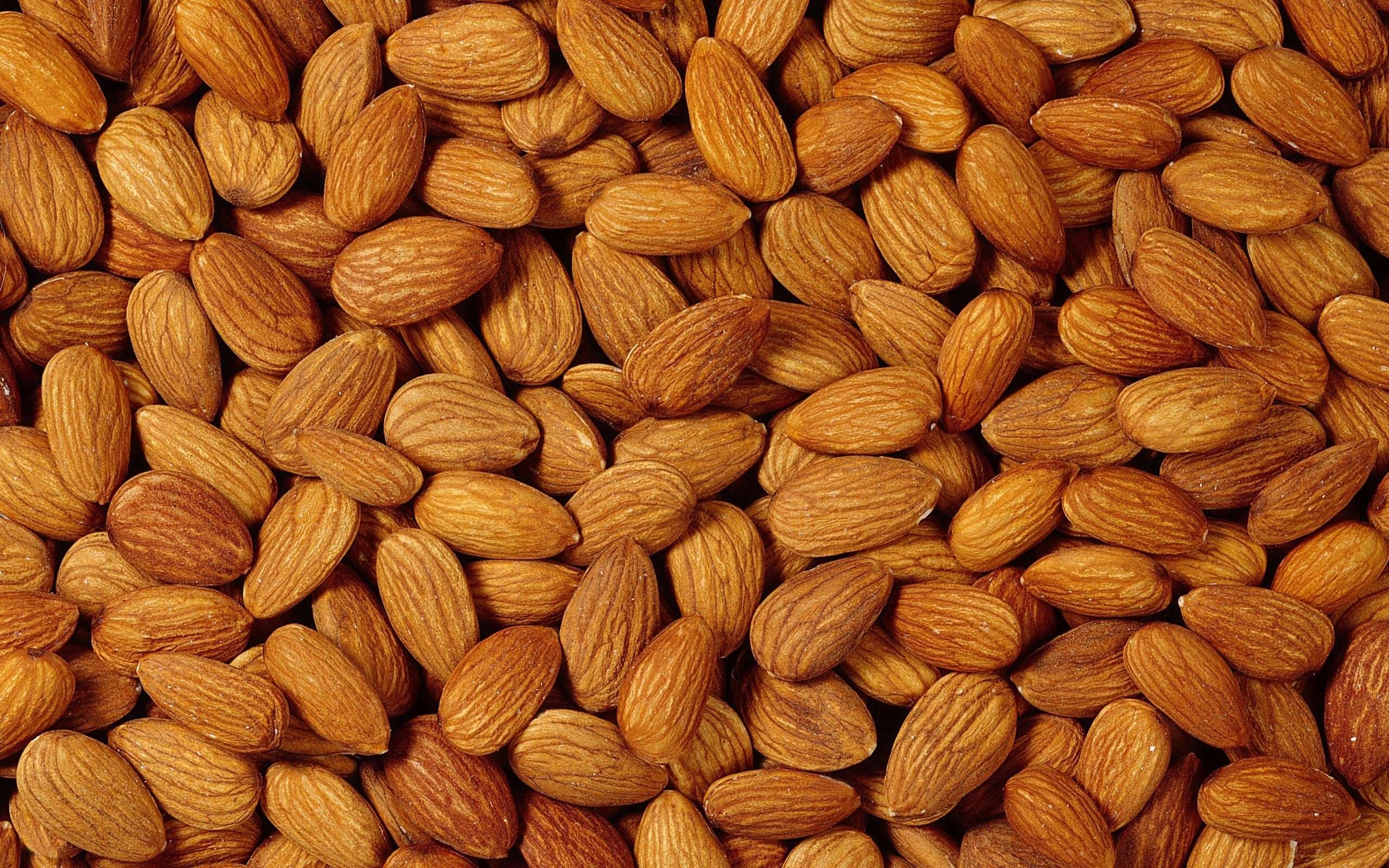 Almond allure, Nutty elegance, Delicate textures, Nutrient-packed, 2560x1600 HD Desktop