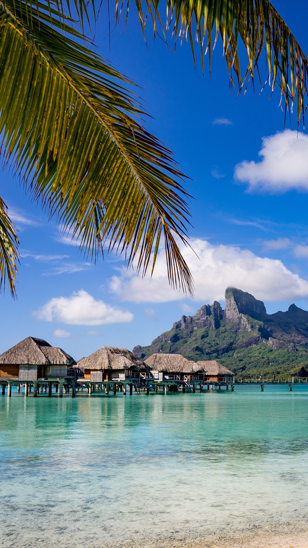 French Polynesia, Stunning scenery, Untouched beauty, Captivating destination, 1080x1920 Full HD Phone