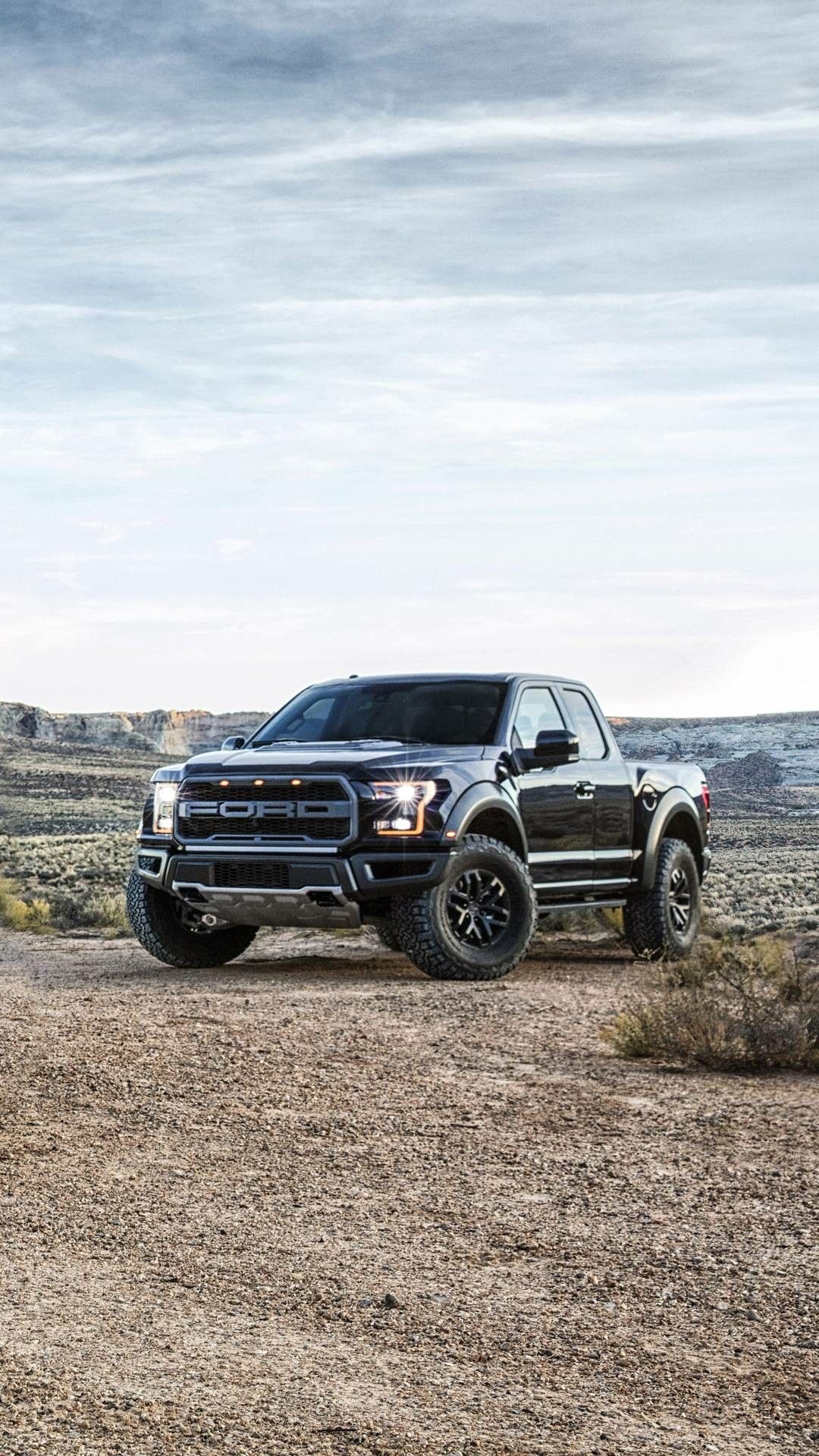 Trucks, Ford Raptor, Ford F150 Raptor, 1080x1920 Full HD Phone
