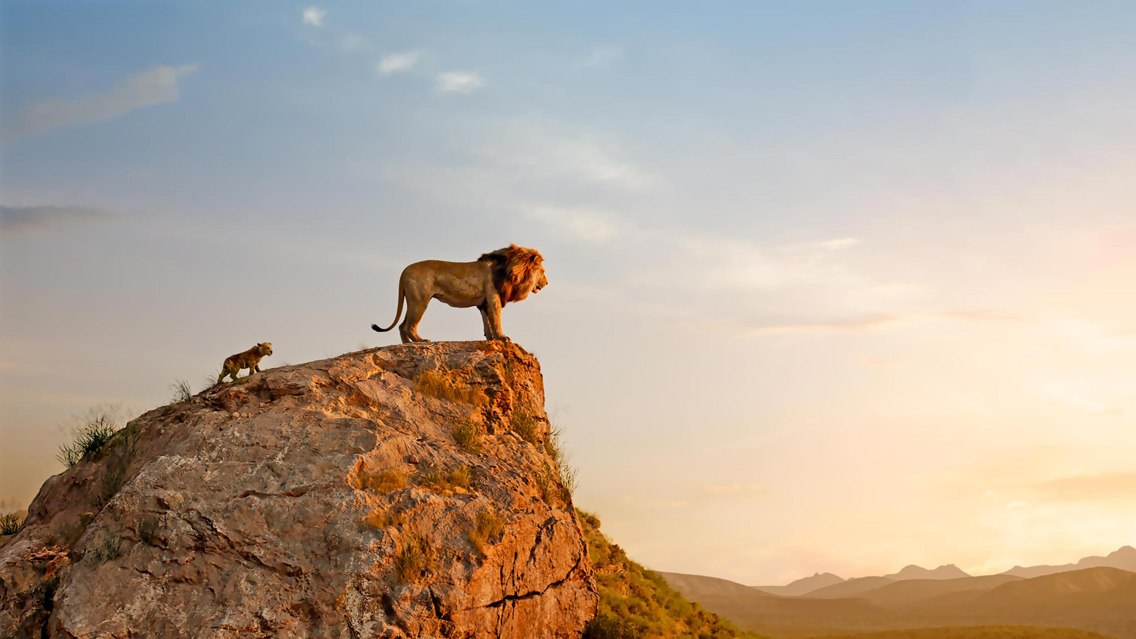 The Lion King, Mufasa and Simba, 4K wallpaper, 3840x2160 4K Desktop