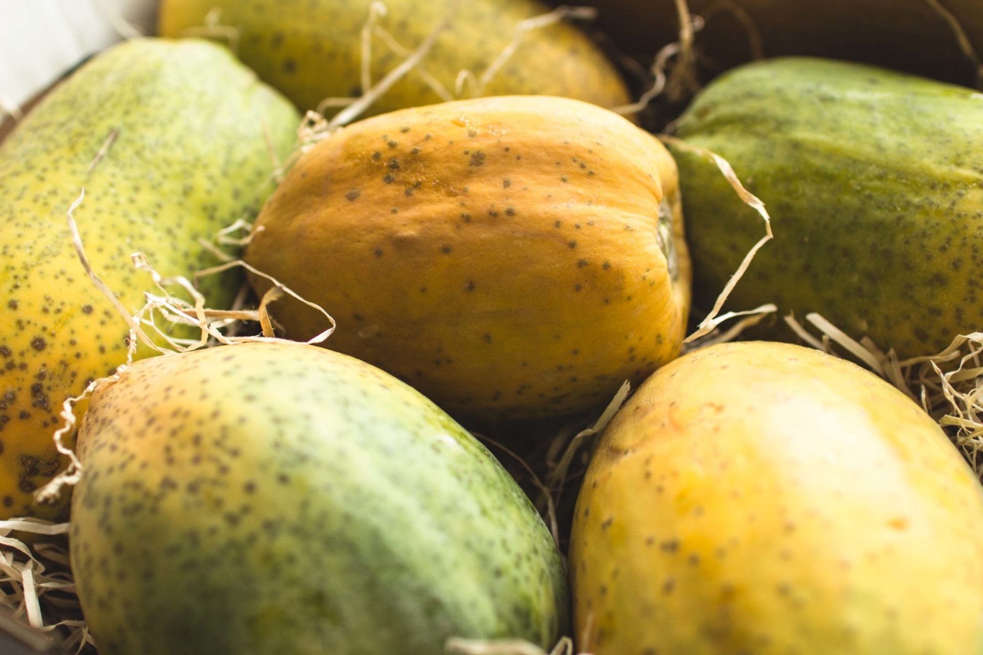 Direct from the tree, Papaya home delivery, Fresh and ripe, Convenience guaranteed, 1920x1280 HD Desktop