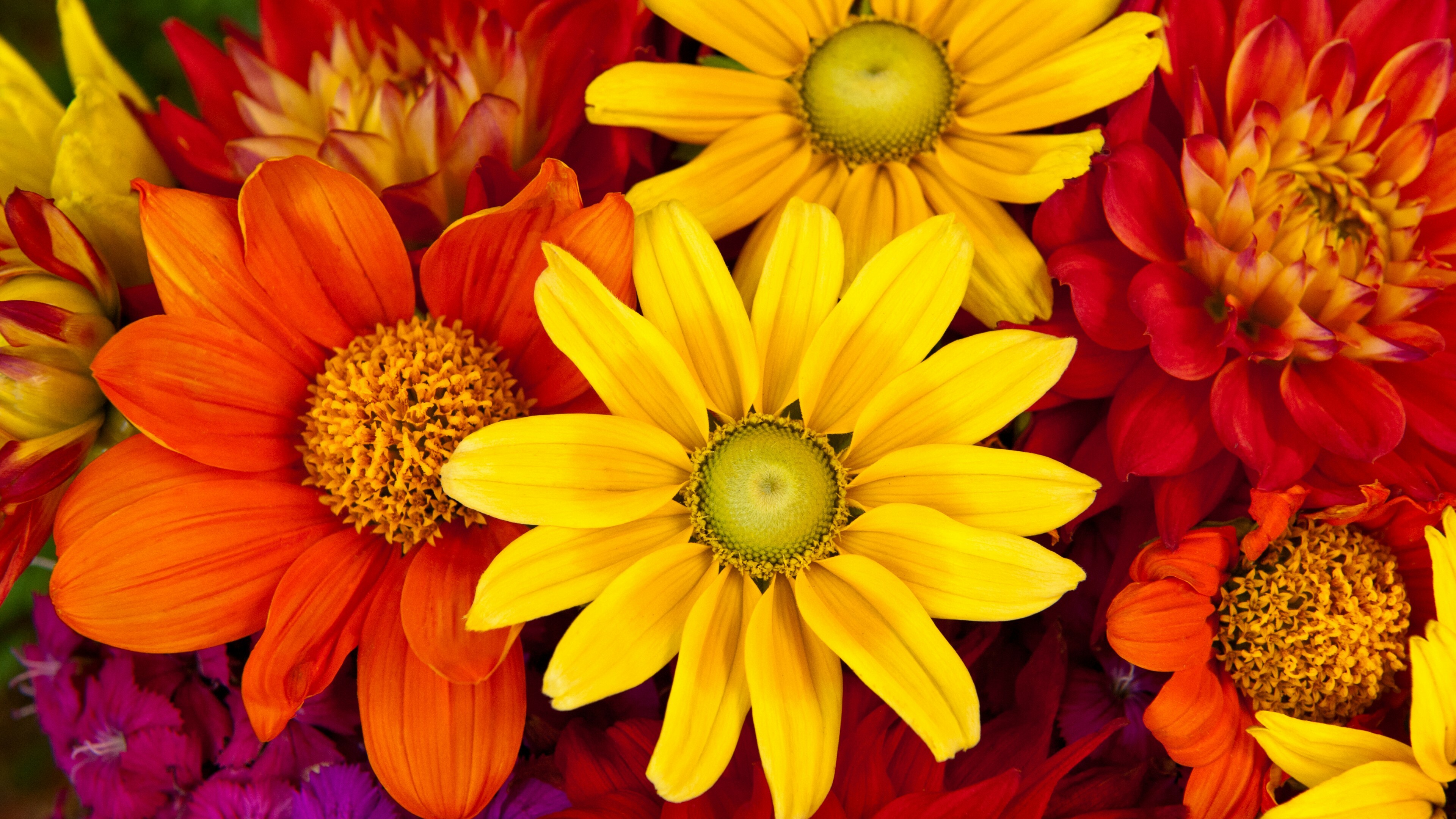 Gerberas, Flower Bouquet Wallpaper, 3840x2160 4K Desktop