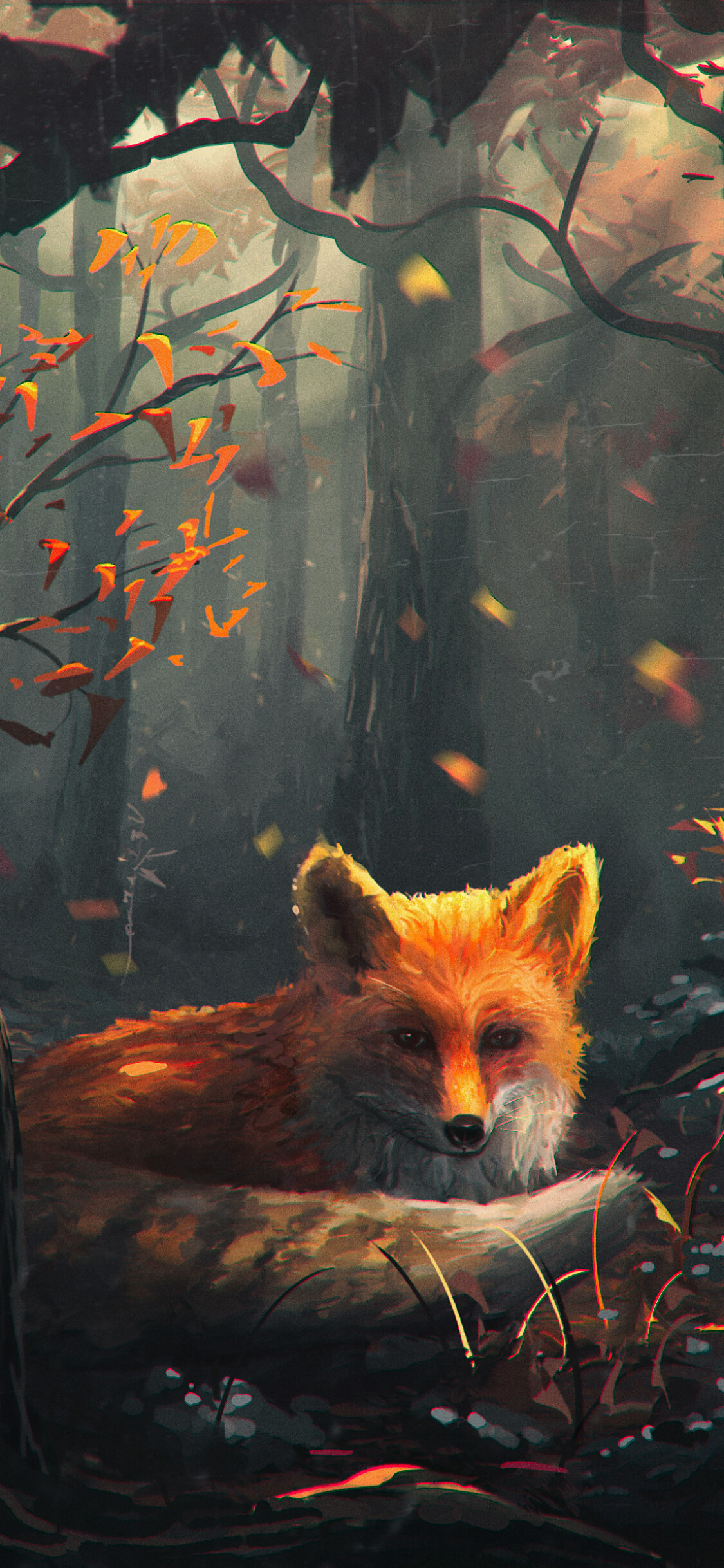 Animal fox, Nature's beauty, Wild creature, Wilderness, 1130x2440 HD Phone