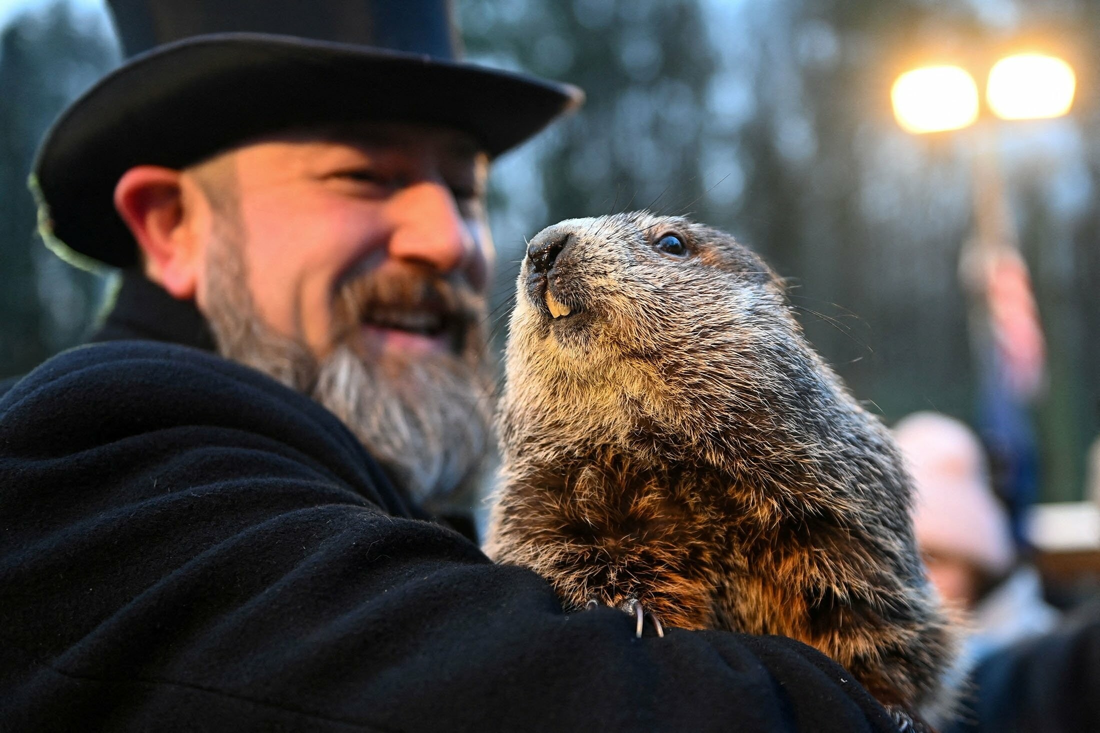 Groundhog Day, No early spring, 2200x1470 HD Desktop