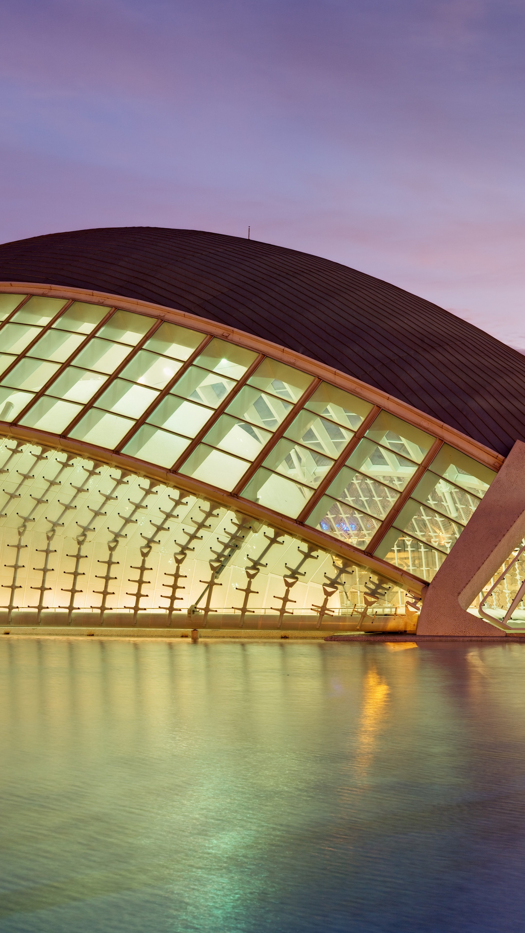 Valencia, Planetarium Wallpaper, 2160x3840 4K Phone