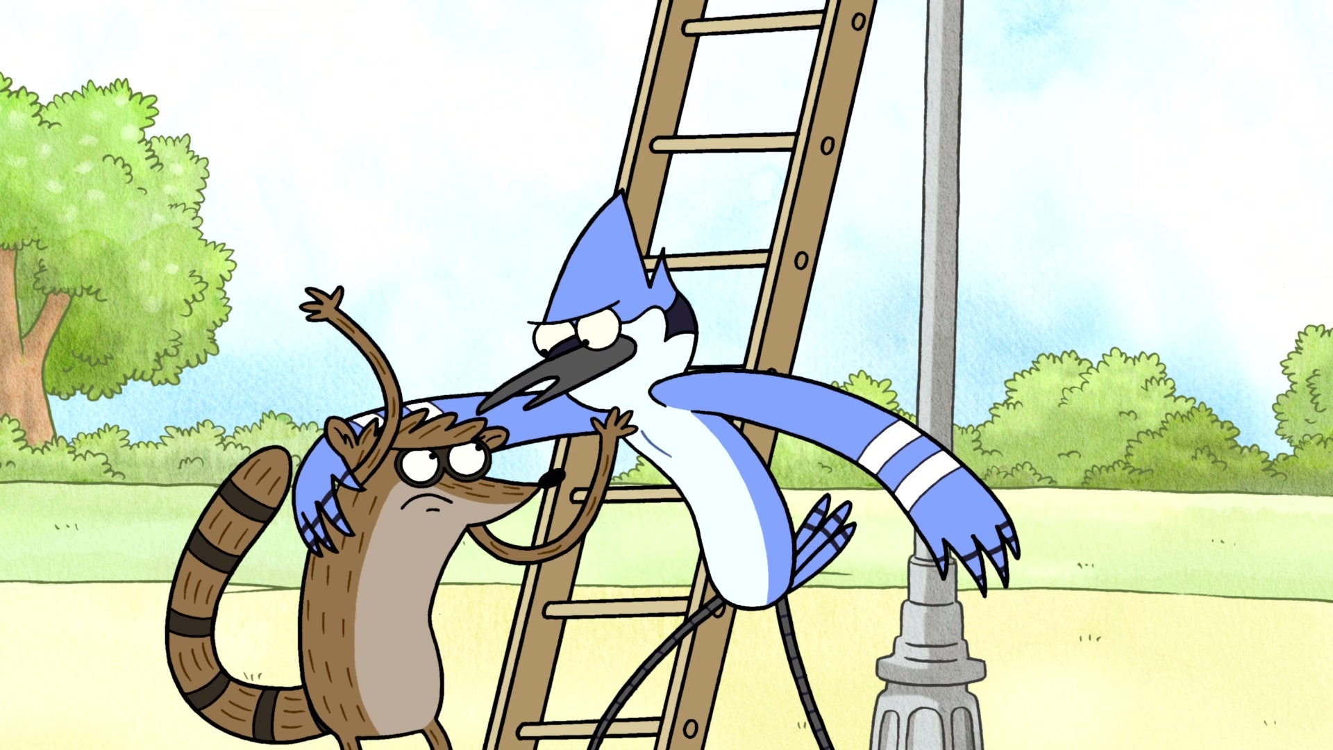 Mordecai leaning on Rigby, Rigby looking annoyed, Wooden ladder by lamp post, Regular Show, Full HD Desktop wallpaper