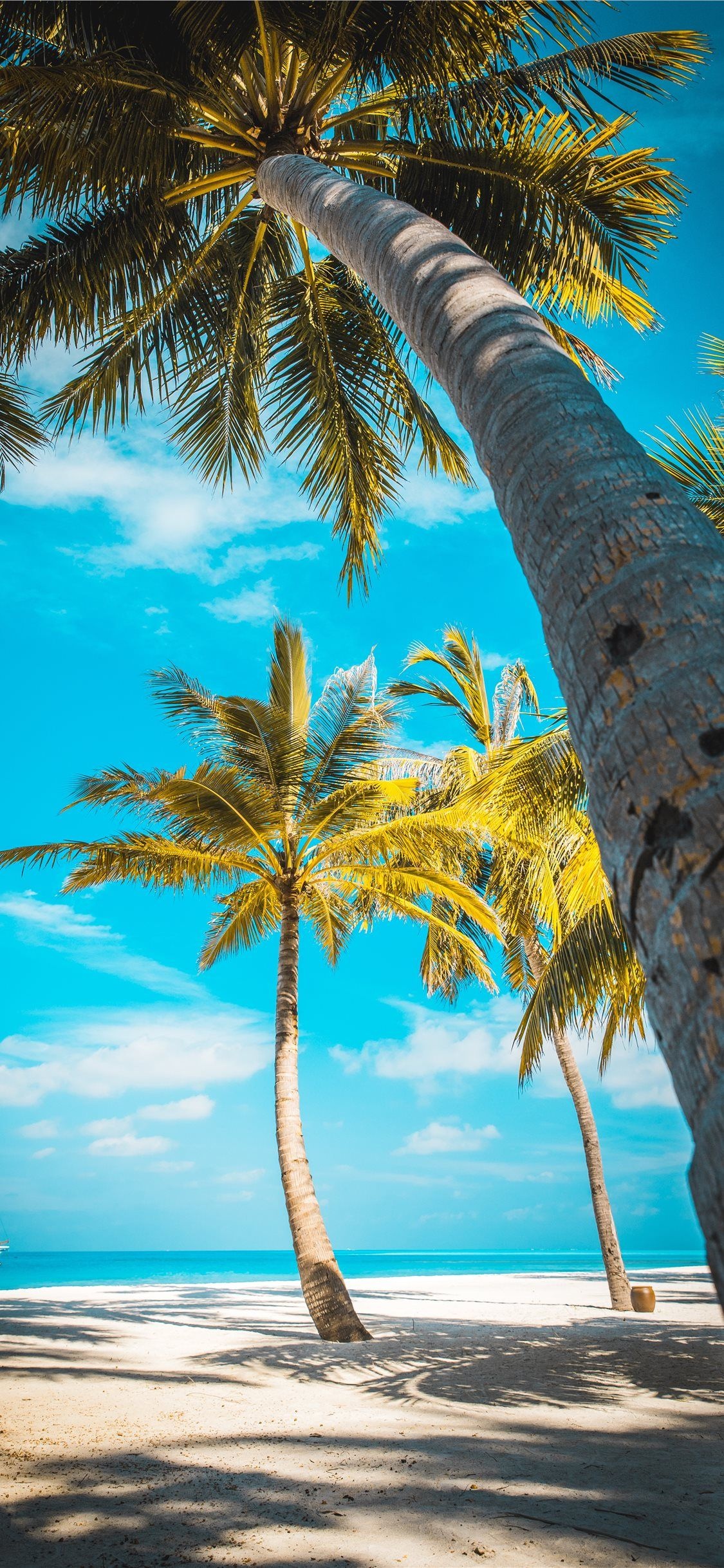 Coconut palm trees, White sand beach, Turquoise tropical ocean, HD Phone wallpaper
