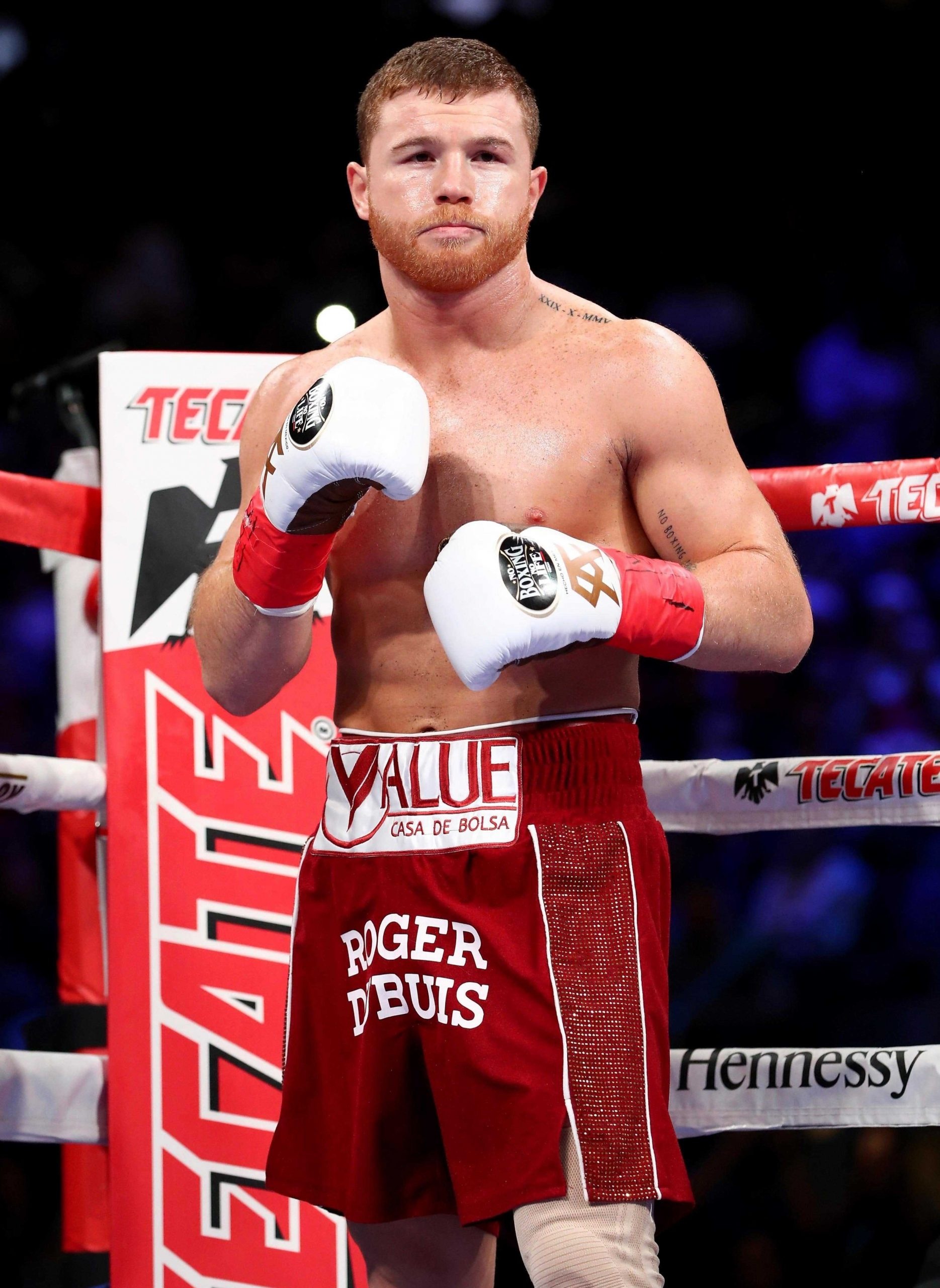 Canelo Alvarez Wallpapers (26 images) - WallpaperCat