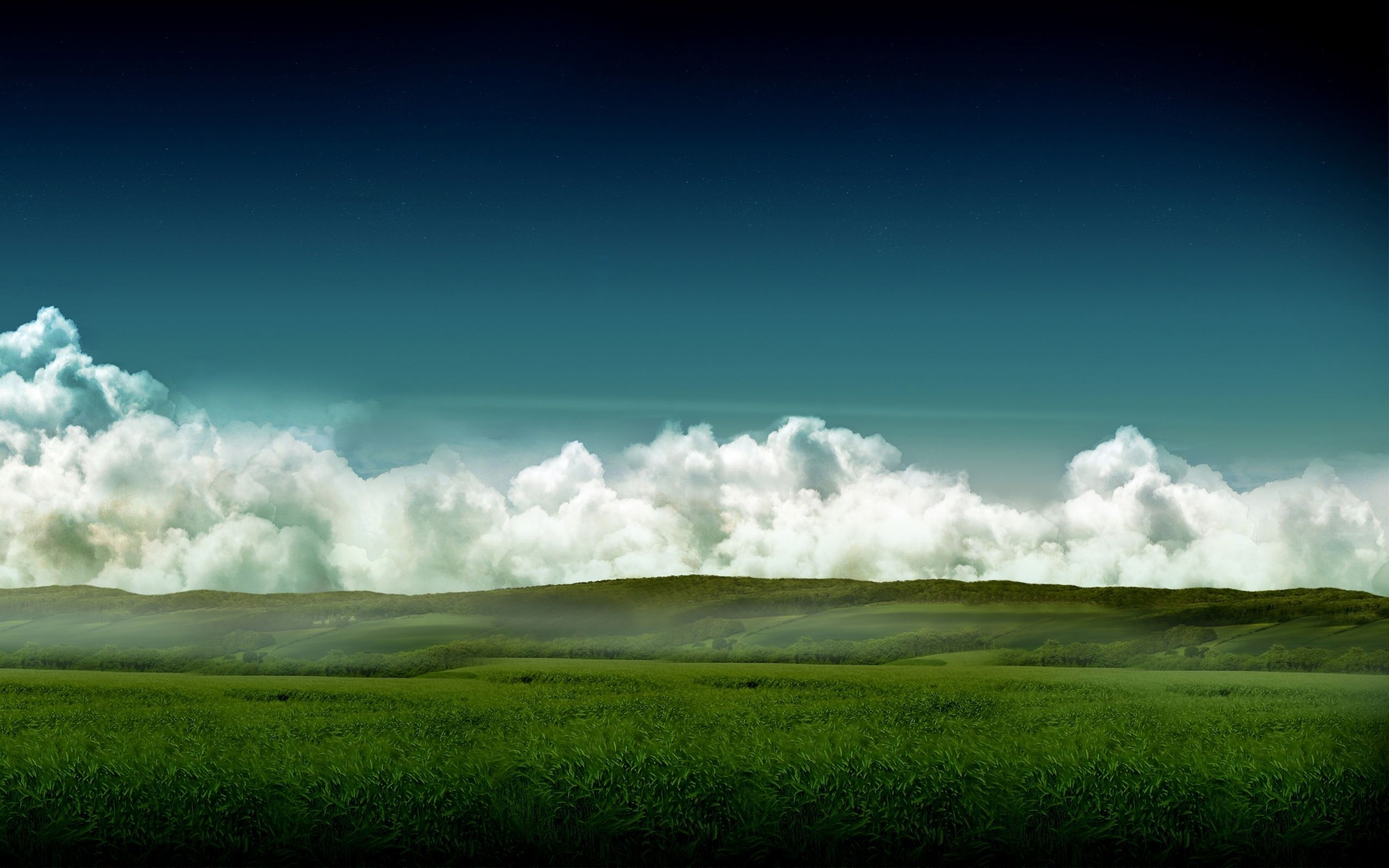 lush grass field, rolling green hills, dense cumulus clouds, HD Desktop wallpaper