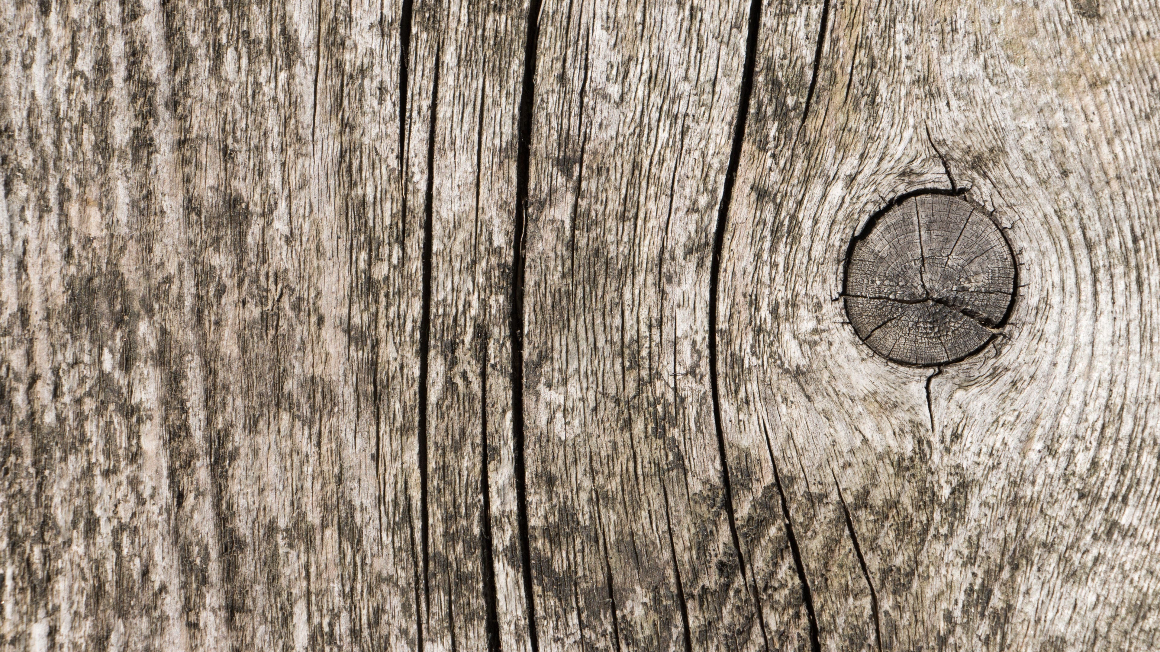 Old wood wallpaper, Rustic charm, Vintage appeal, Photography wallpapers, 3840x2160 4K Desktop