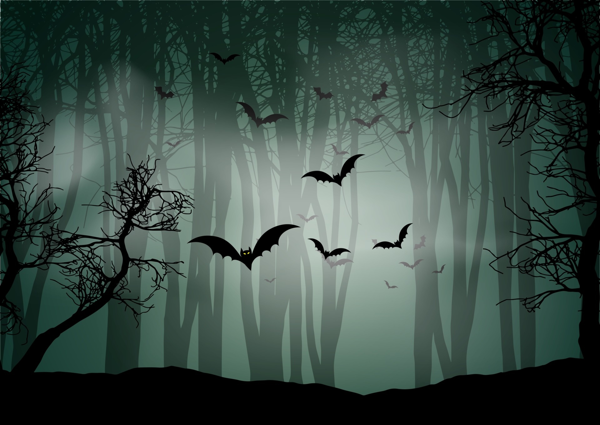 flying bat silhouettes, gnarled bare trees, misty dark green forest, HD Desktop wallpaper