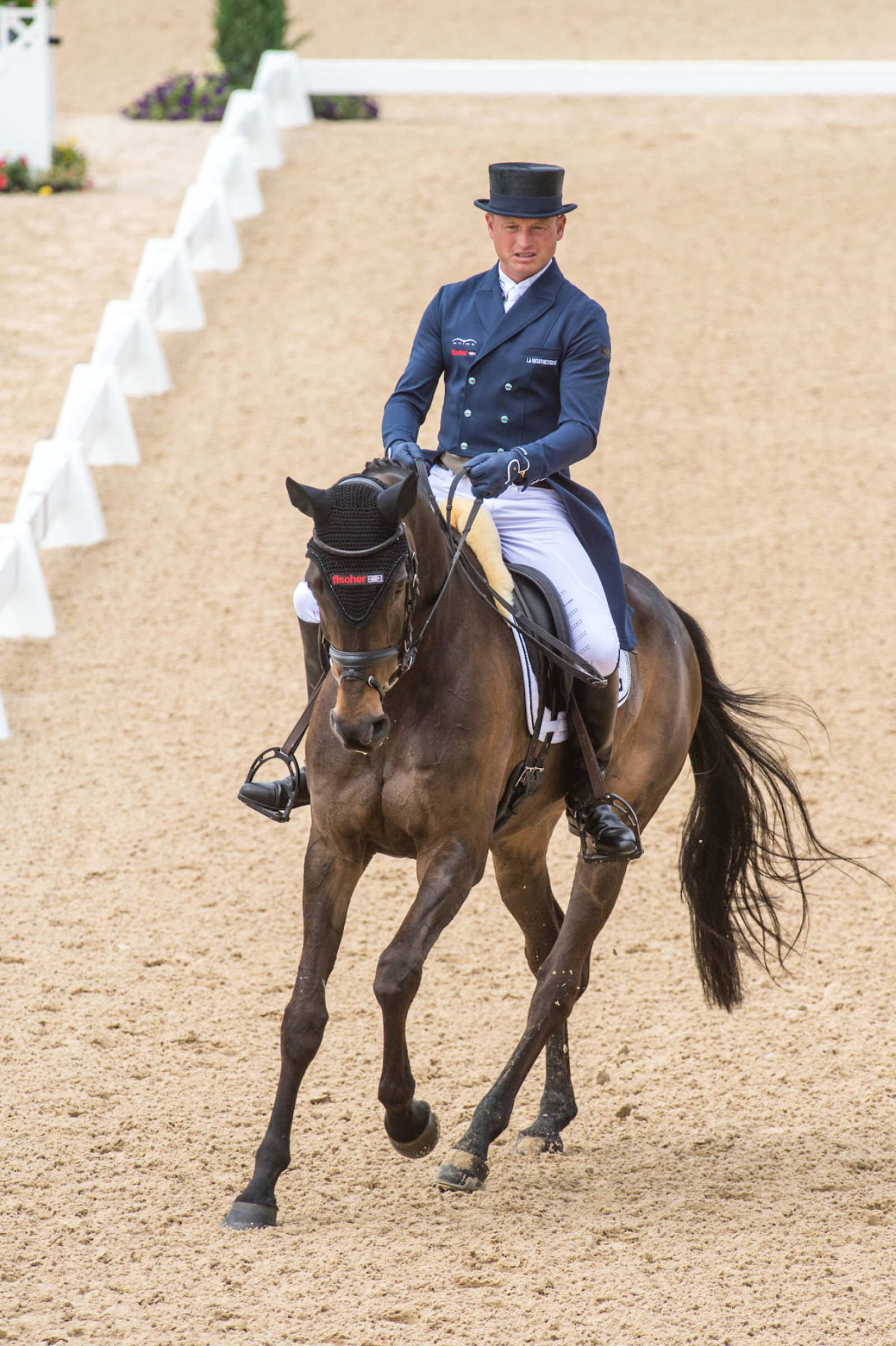 Eventing dressage different, Dressage sports, Equestrian, Eventing, 1600x2400 HD Phone