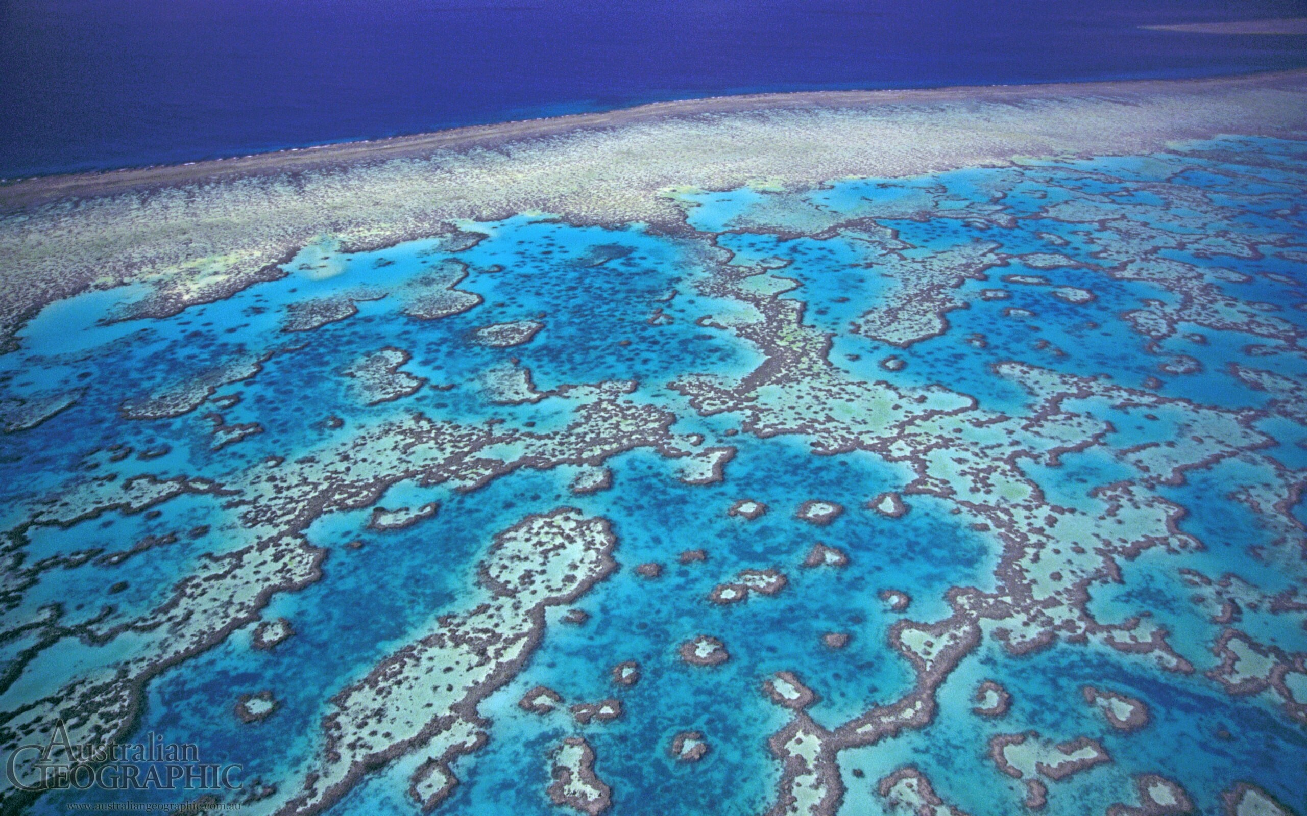 Wistari Reef, Great Barrier Reef Wallpaper, 2560x1600 HD Desktop